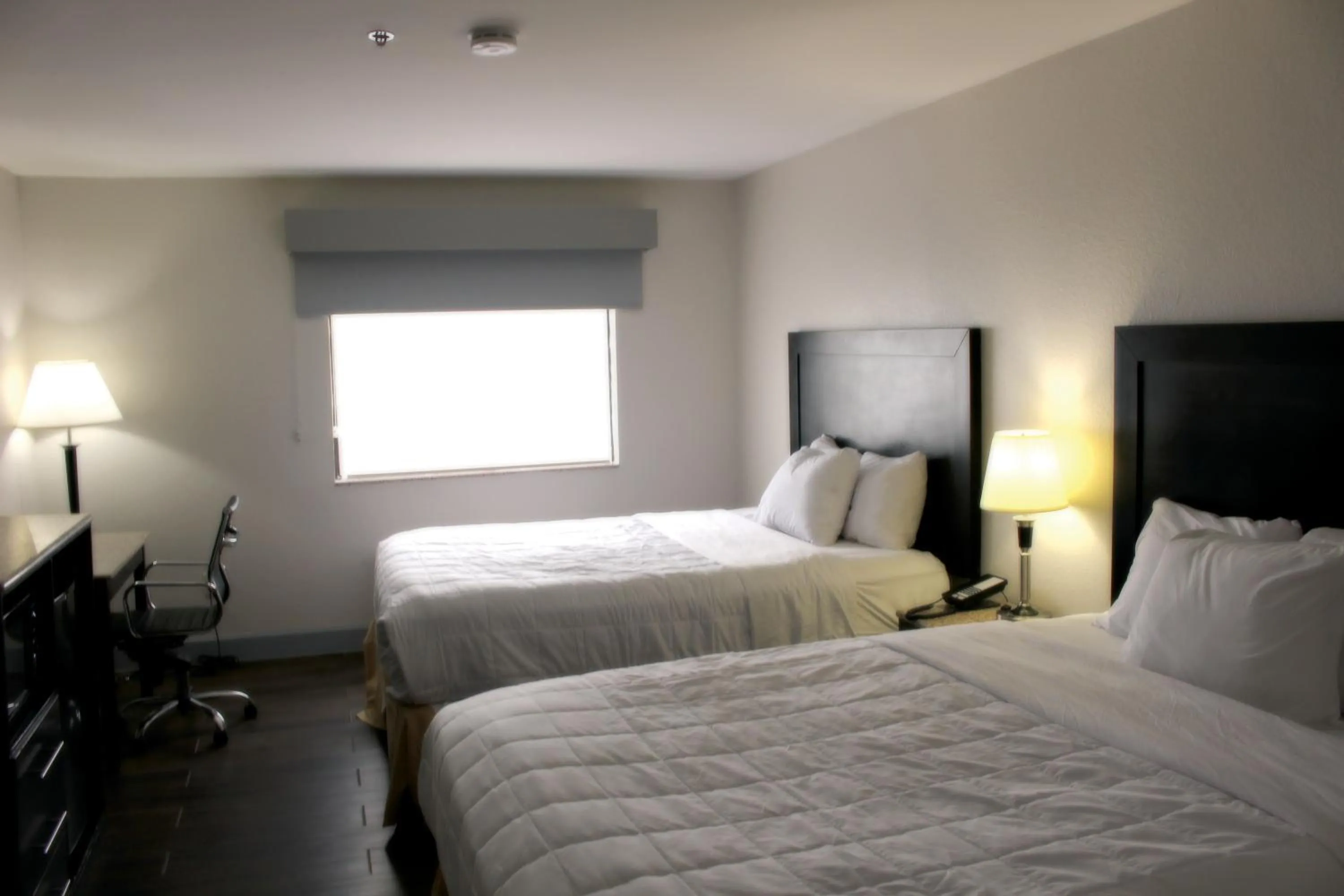 Bed in Baymont by Wyndham Del Rio