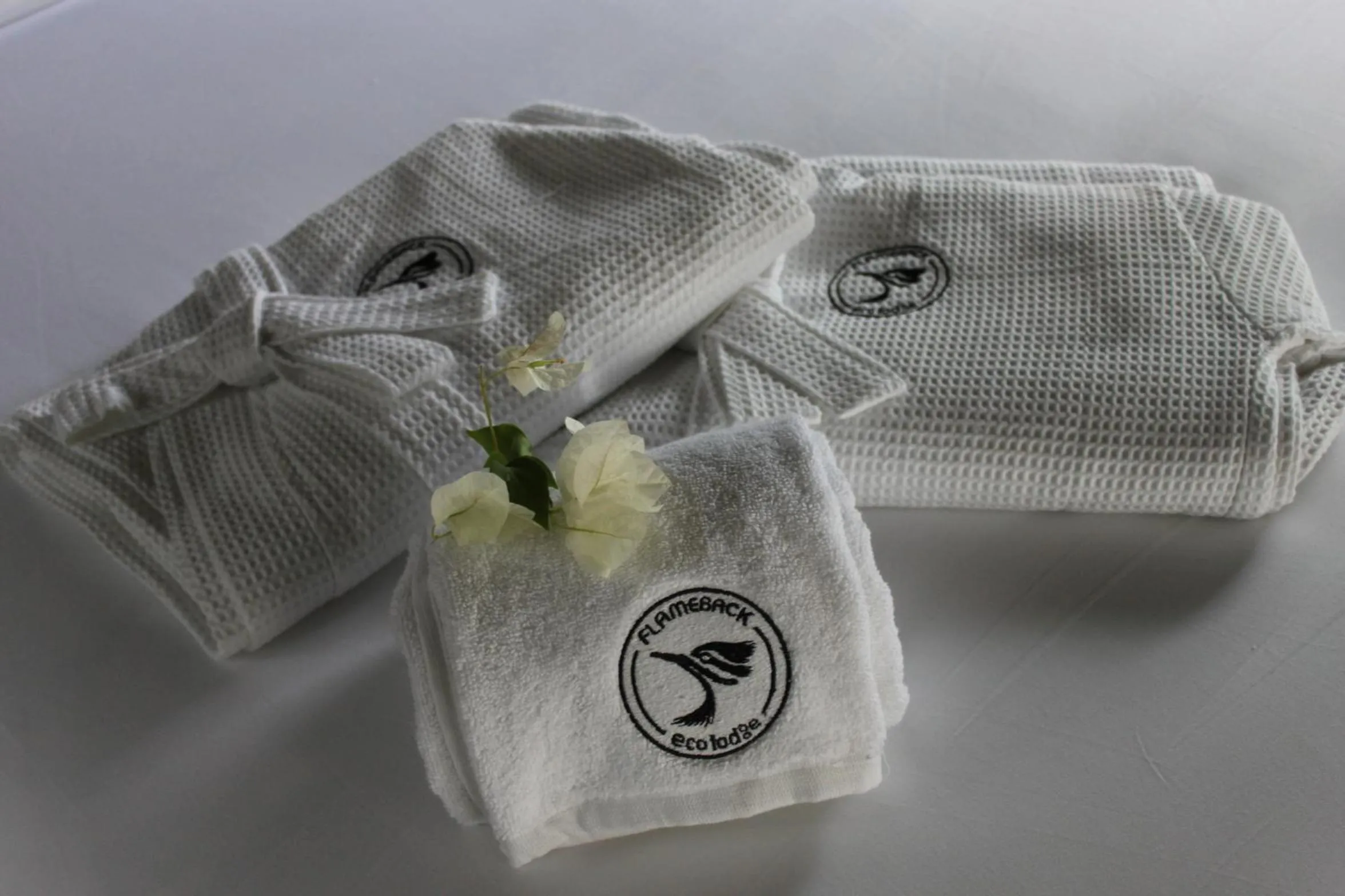 Other in Flameback Eco Lodge