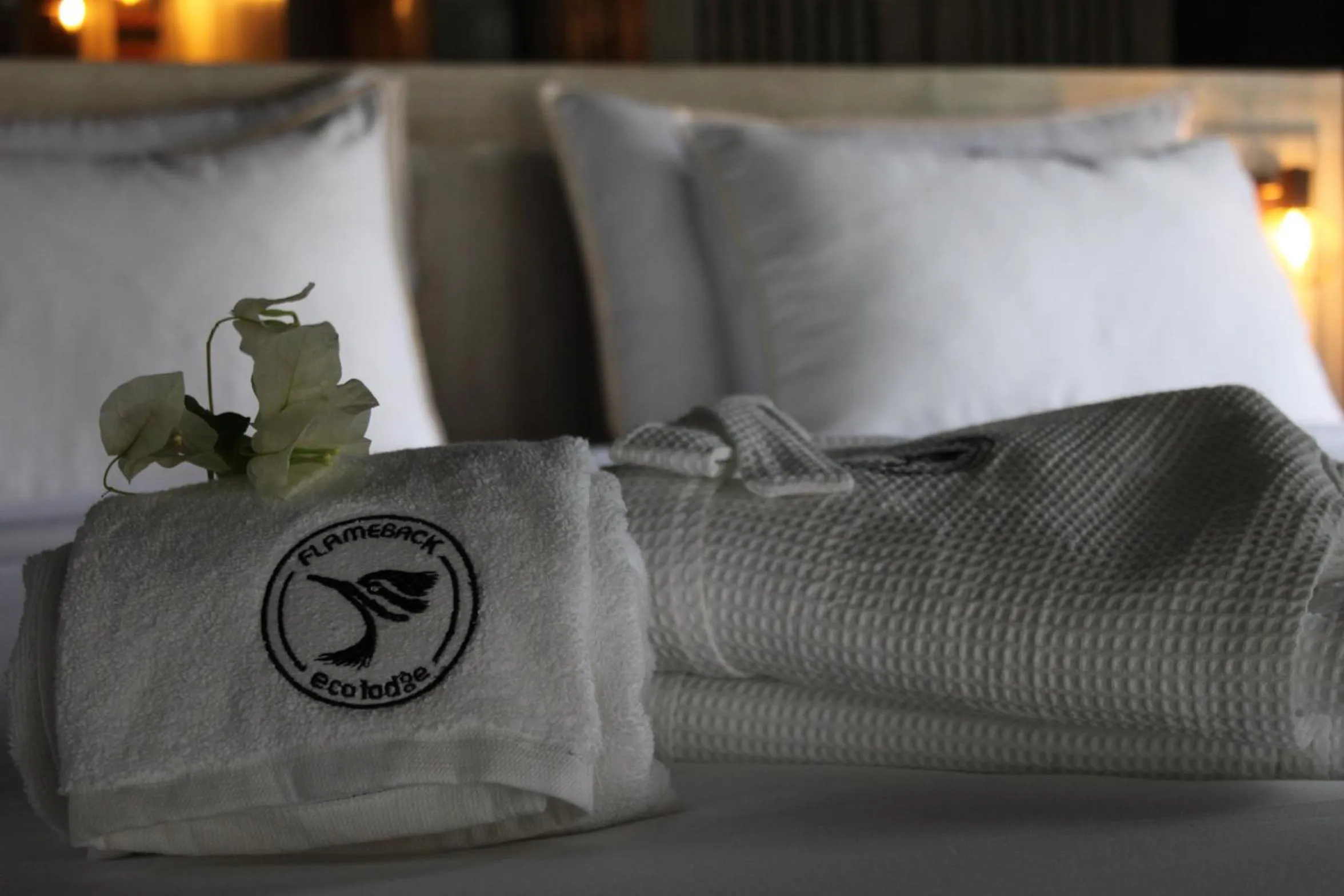 Bedroom, Bed in Flameback Eco Lodge