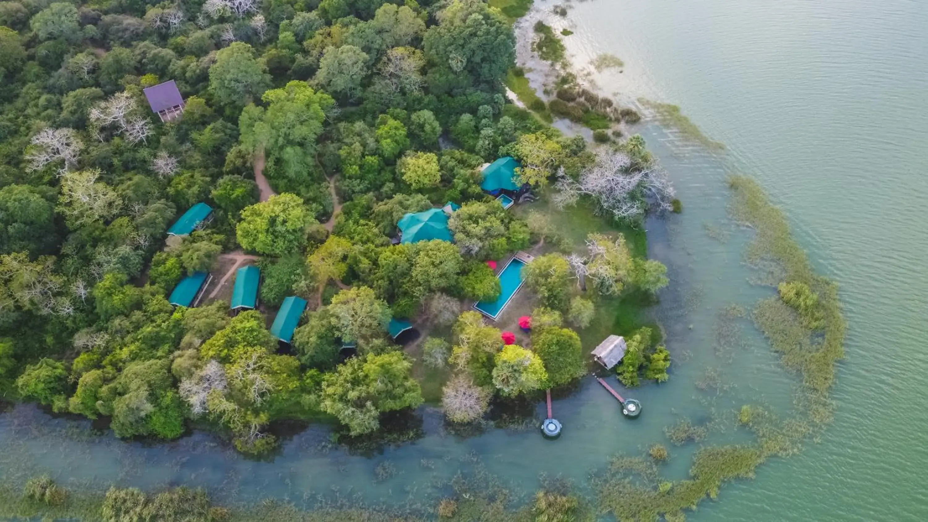 Flameback Eco Lodge Flameback Eco Lodge