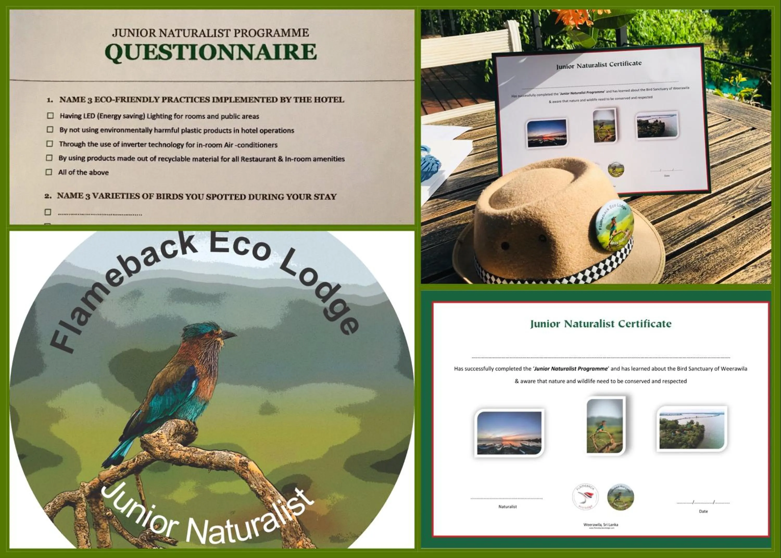 Kids's club in Flameback Eco Lodge