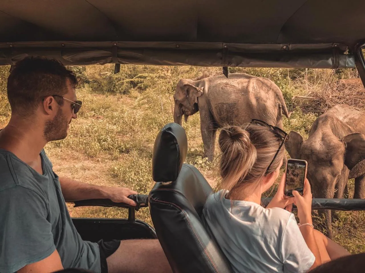 Off site in Flameback Eco Lodge