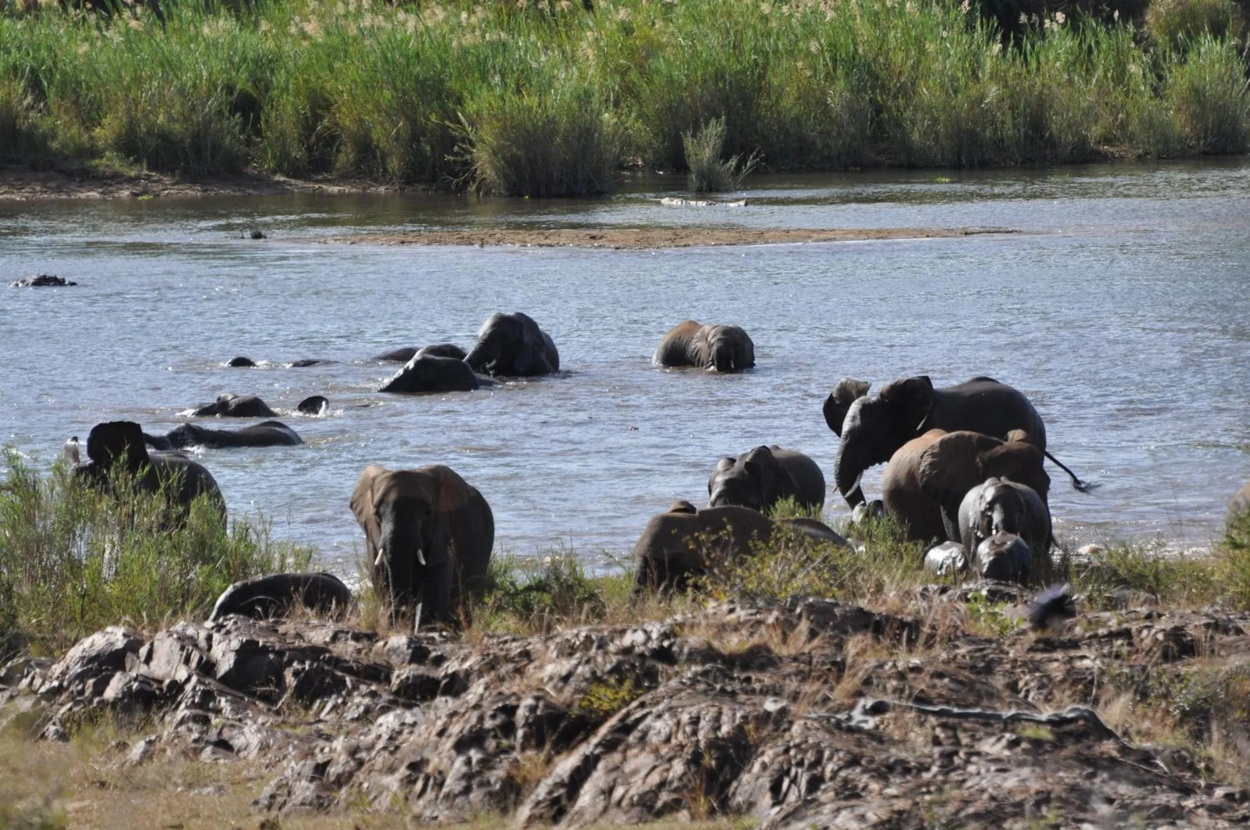 Activities in La Kruger Lifestyle Lodge - No Loadshedding