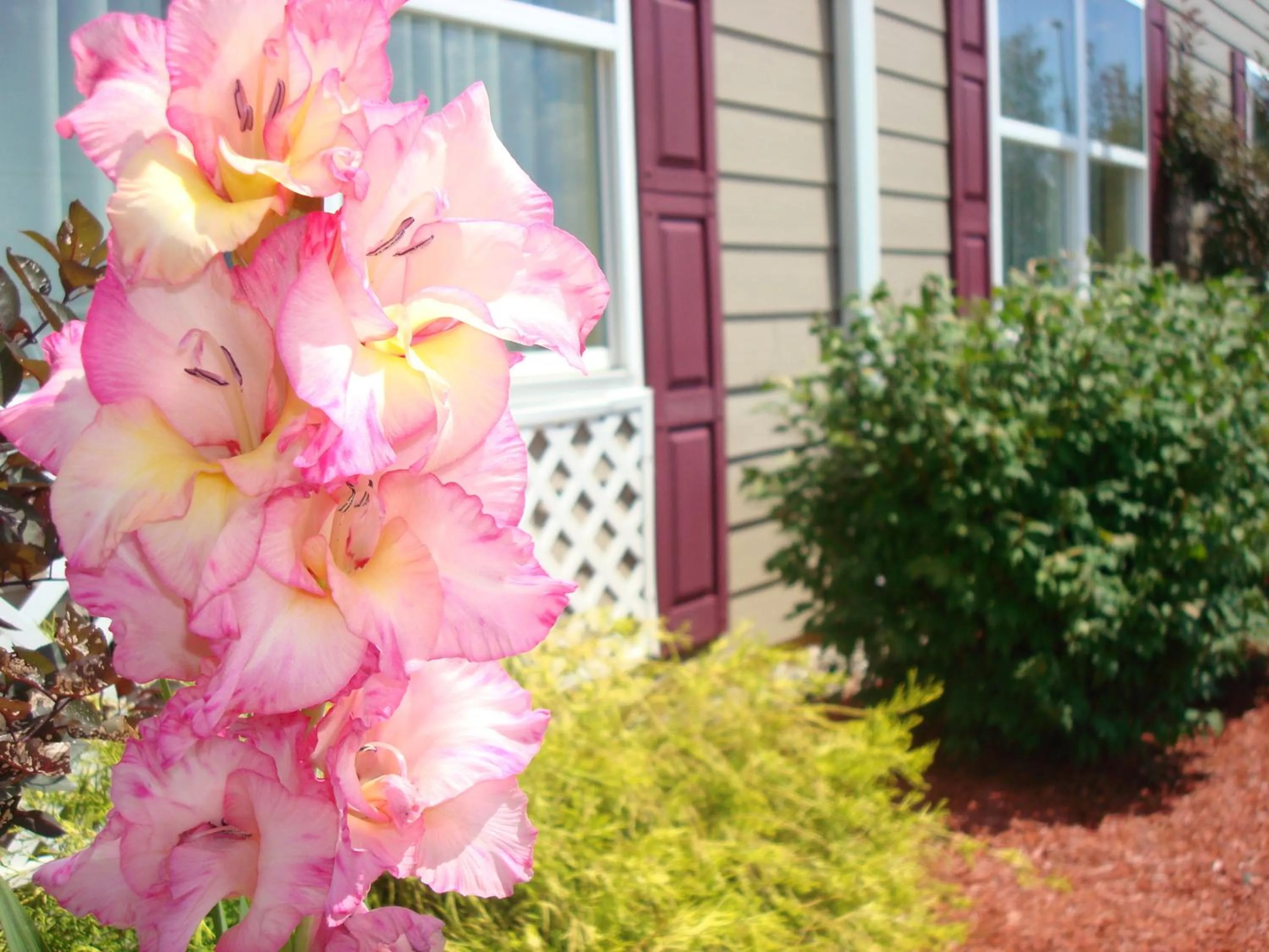 Natural landscape in Country Inn & Suites by Radisson, Carlisle, PA