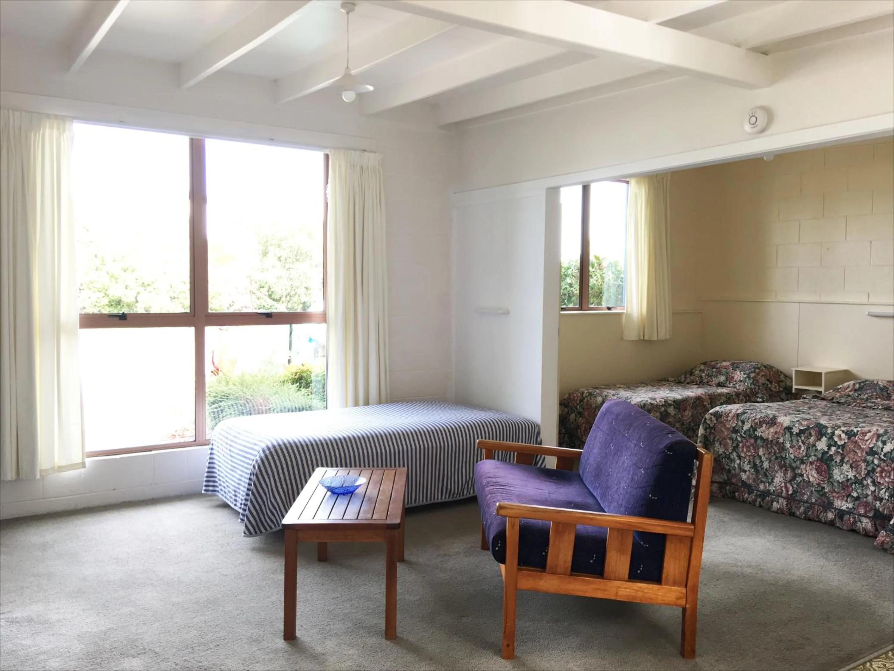 Living room in Martinborough Motel