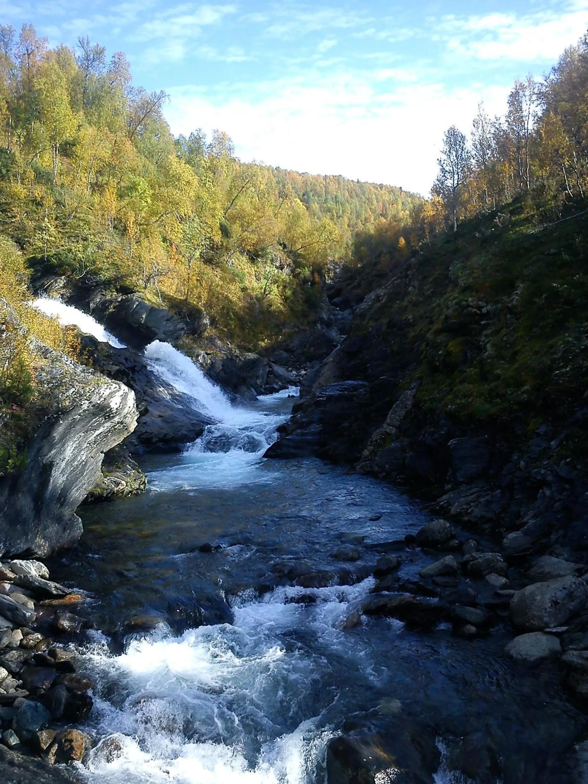 Natural landscape in STF Hemavans Fjällcenter