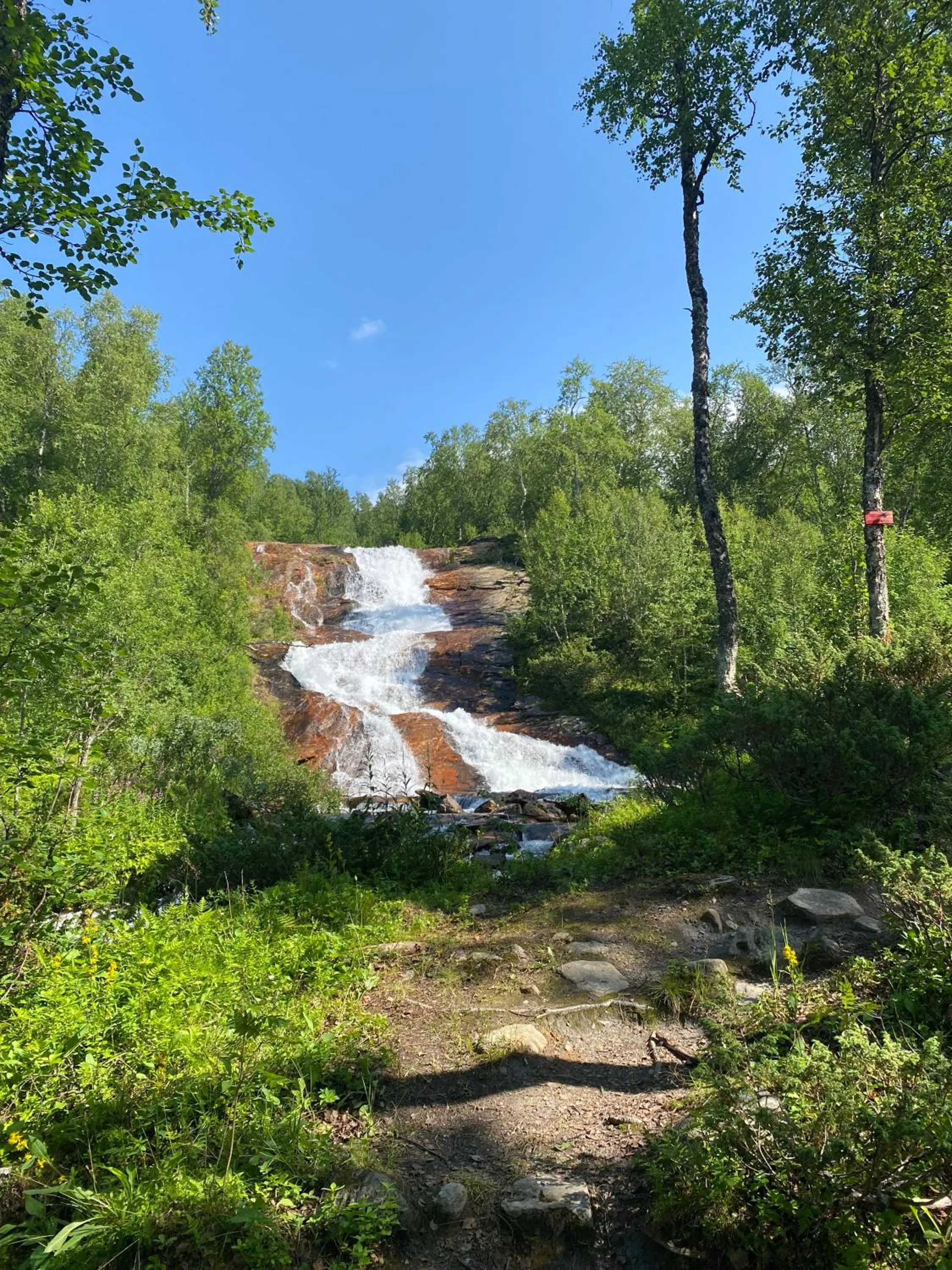 Natural landscape in STF Hemavans Fjällcenter