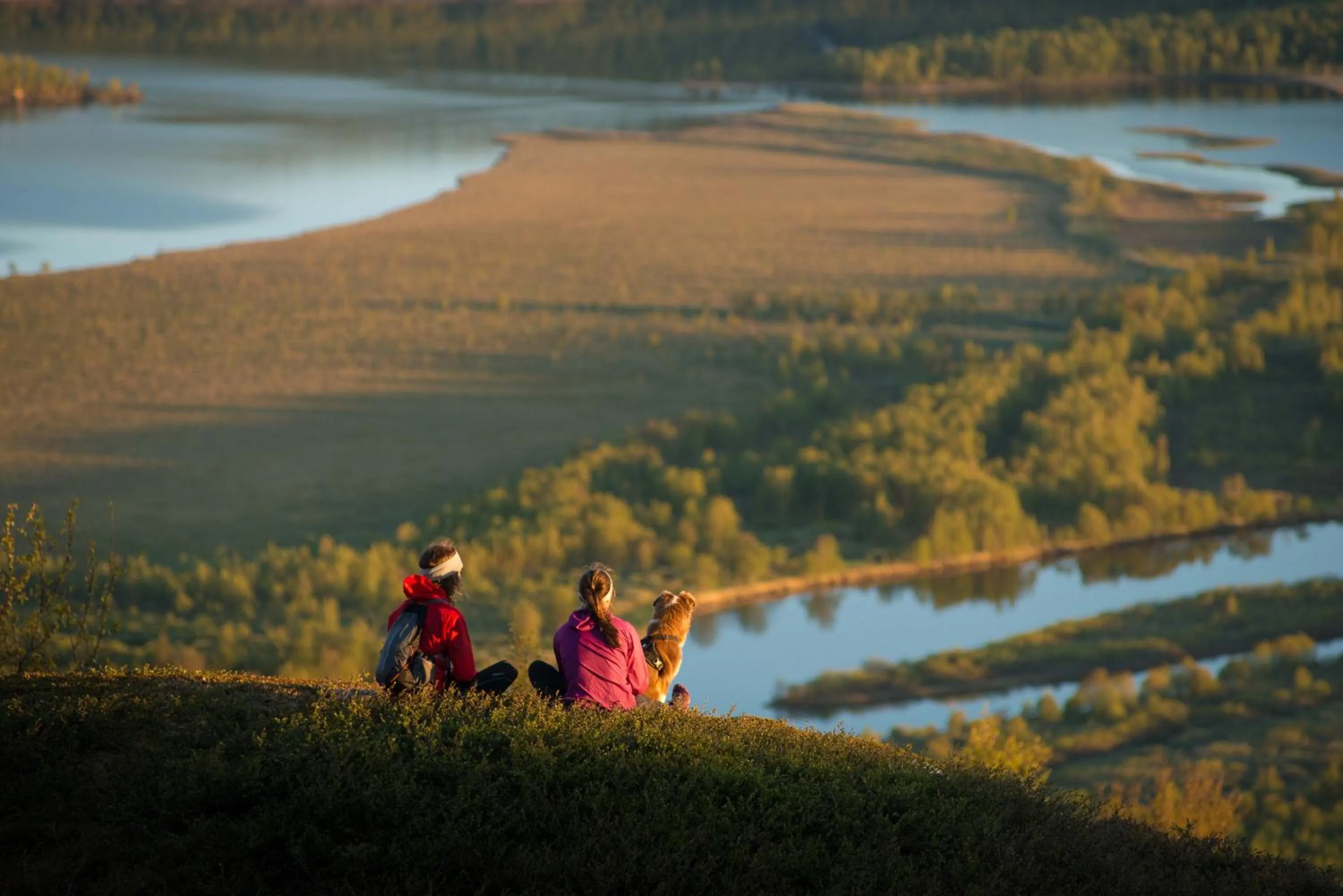 Natural landscape in STF Hemavans Fjällcenter