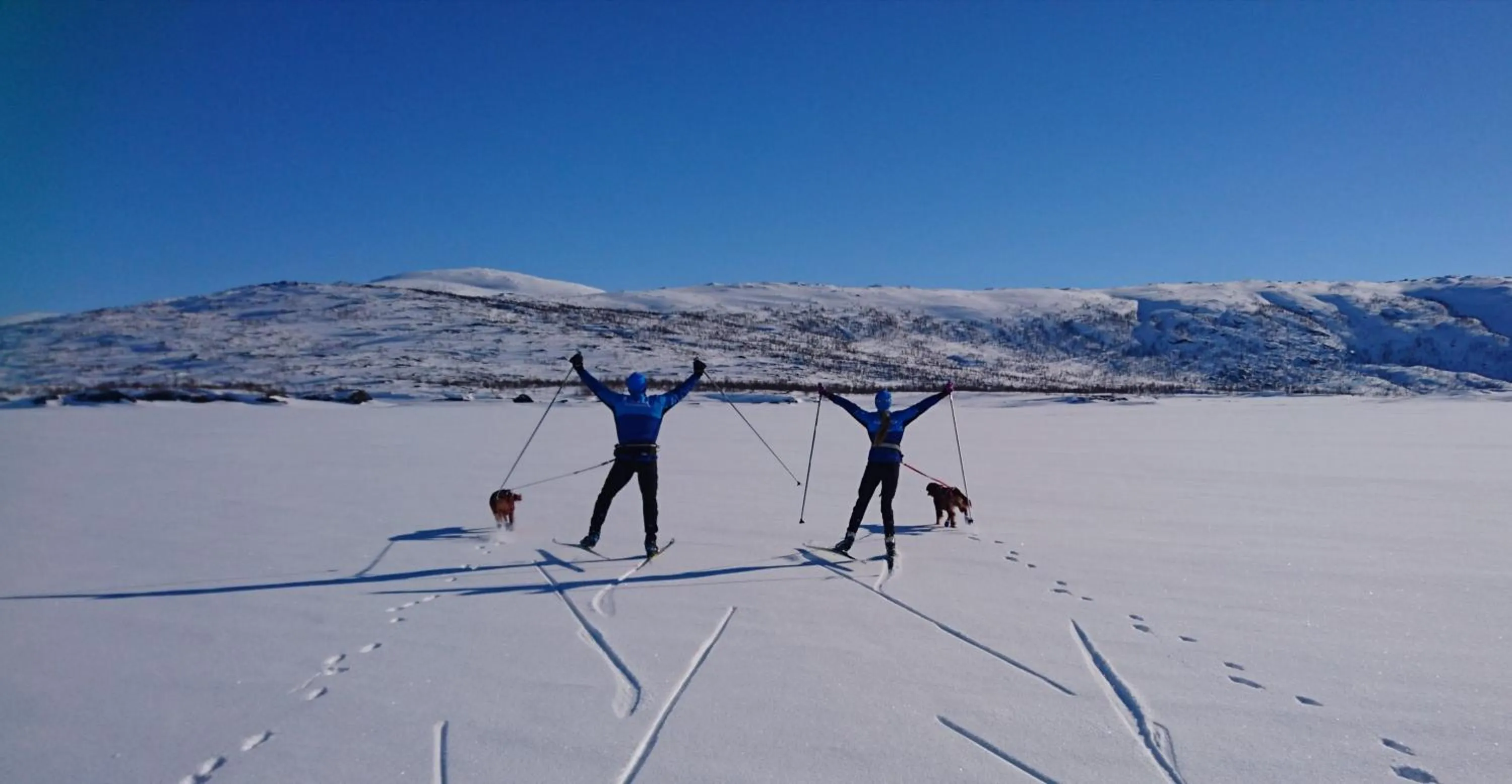 Winter in STF Hemavans Fjällcenter
