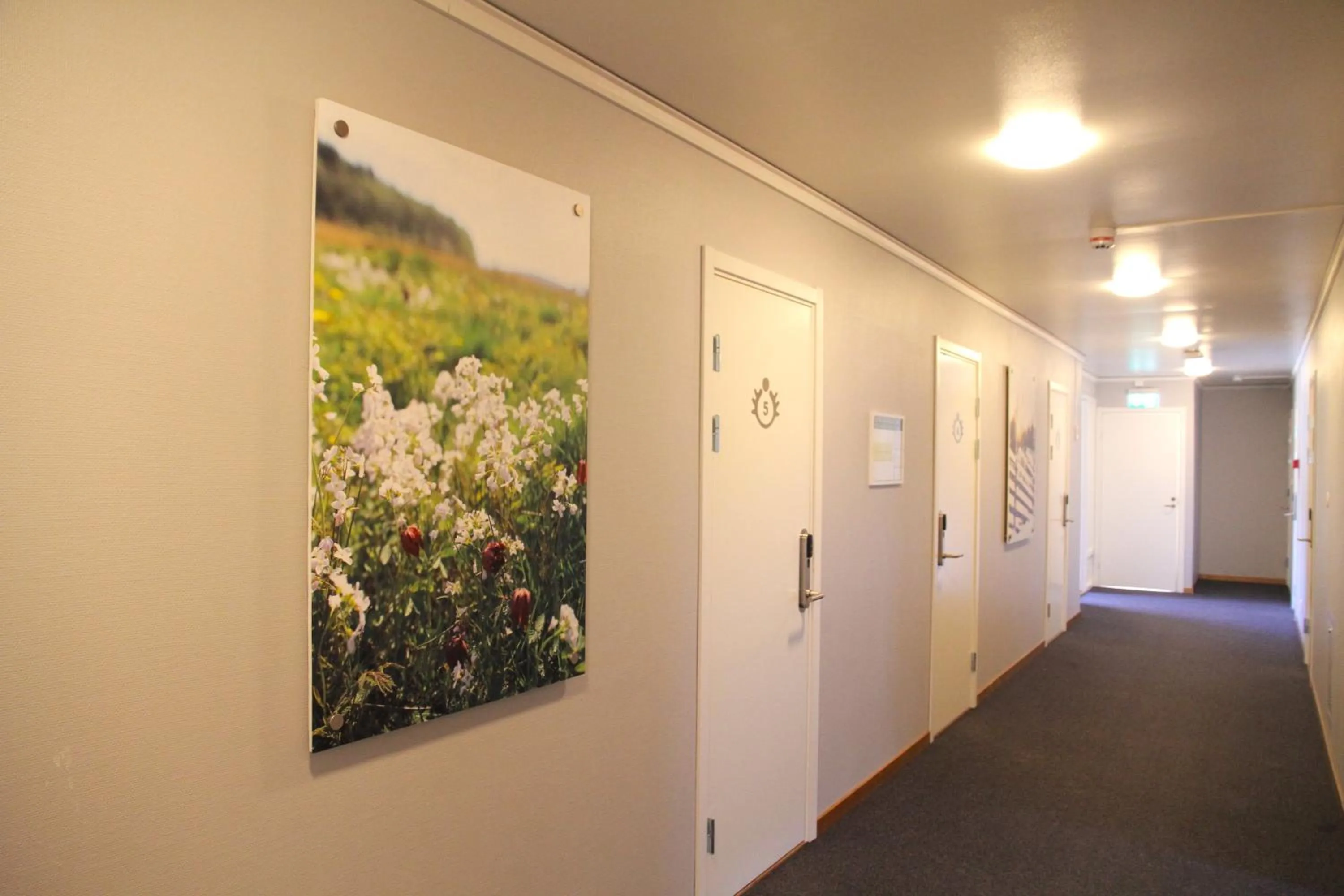 Property building in STF Hemavans Fjällcenter