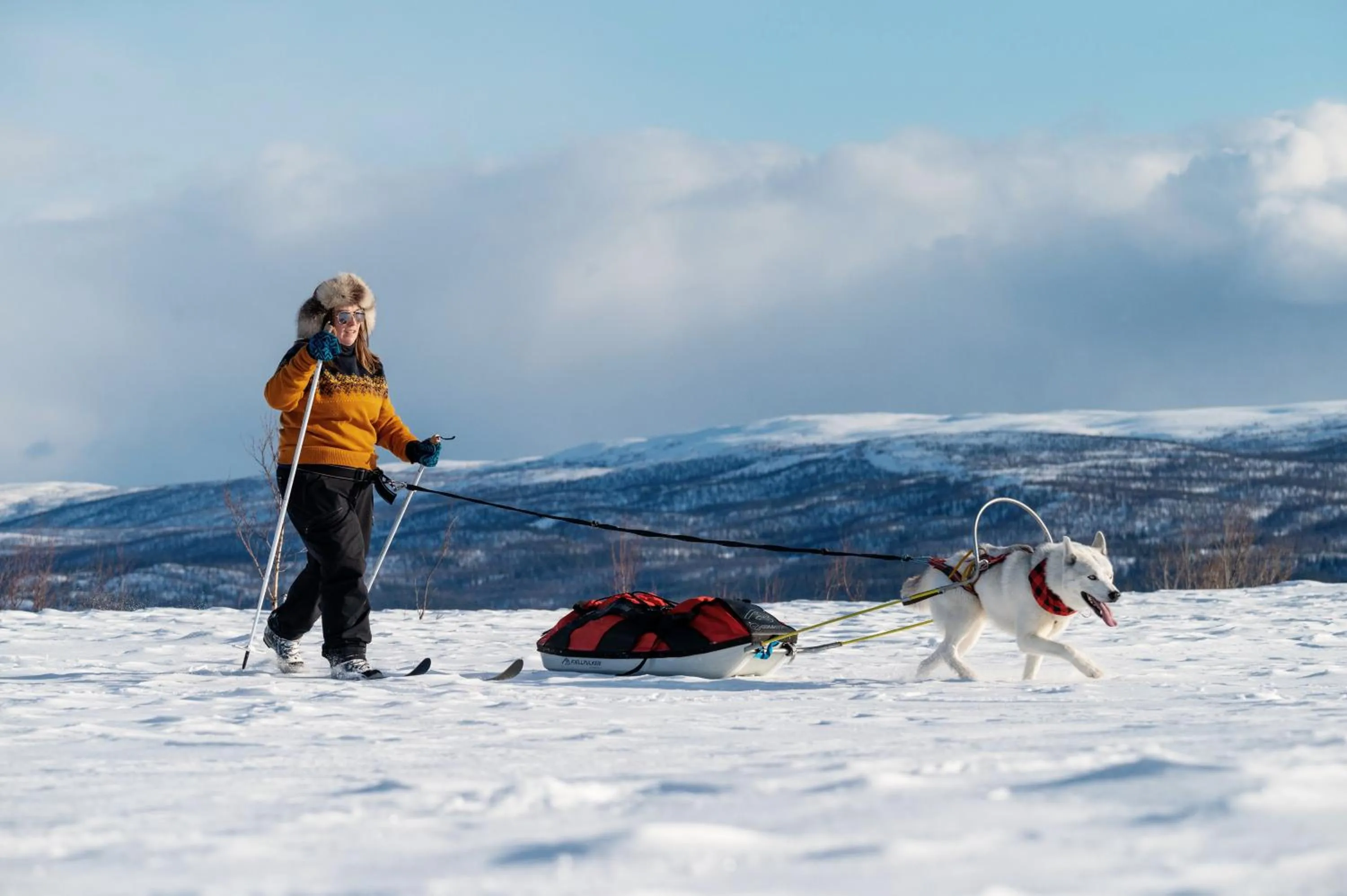 Activities in STF Hemavans Fjällcenter