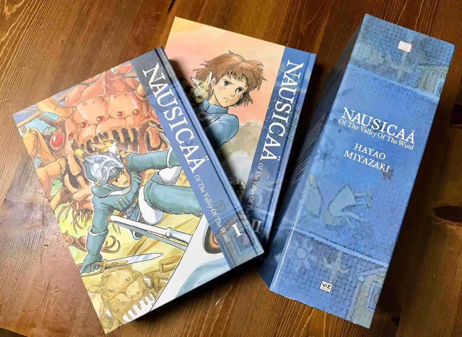 Library in Inn Unkai no Sato no Yado 民宿 雲海の里の宿