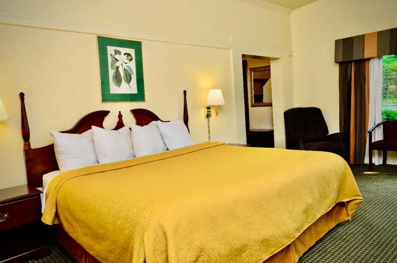 Photo of the whole room, Bed in Hotel M Morgantown - WVU Area