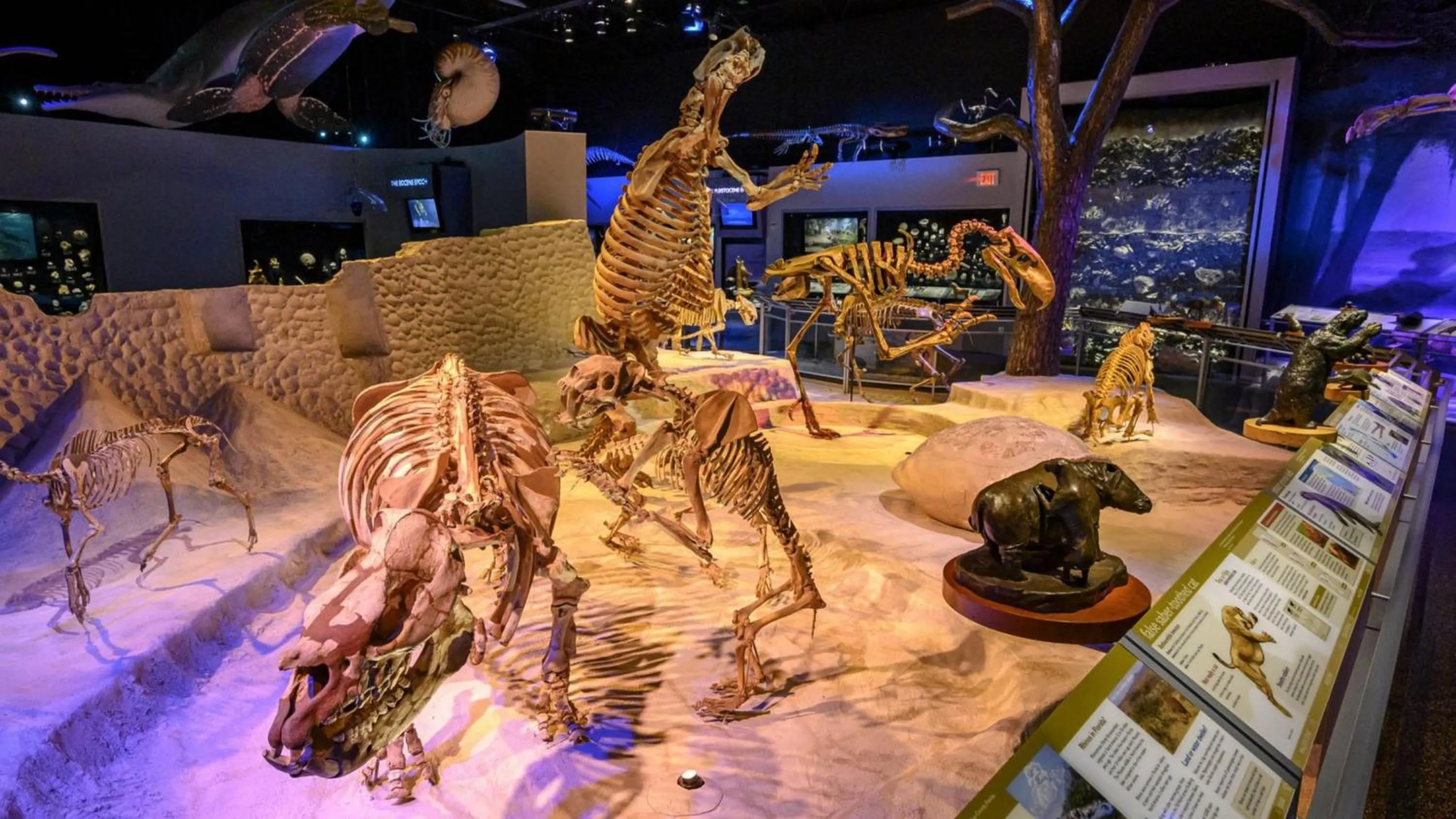 Nearby landmark in Holiday Inn Express Tallahassee by IHG