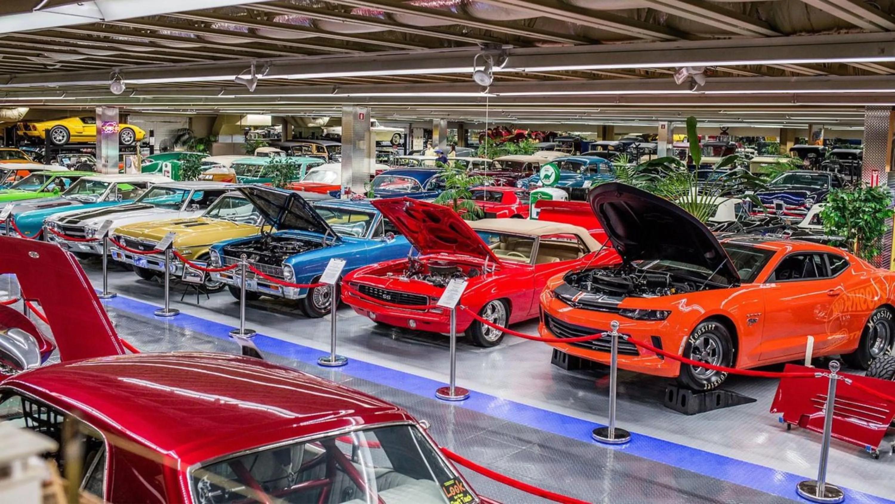 Nearby landmark in Holiday Inn Express Tallahassee by IHG