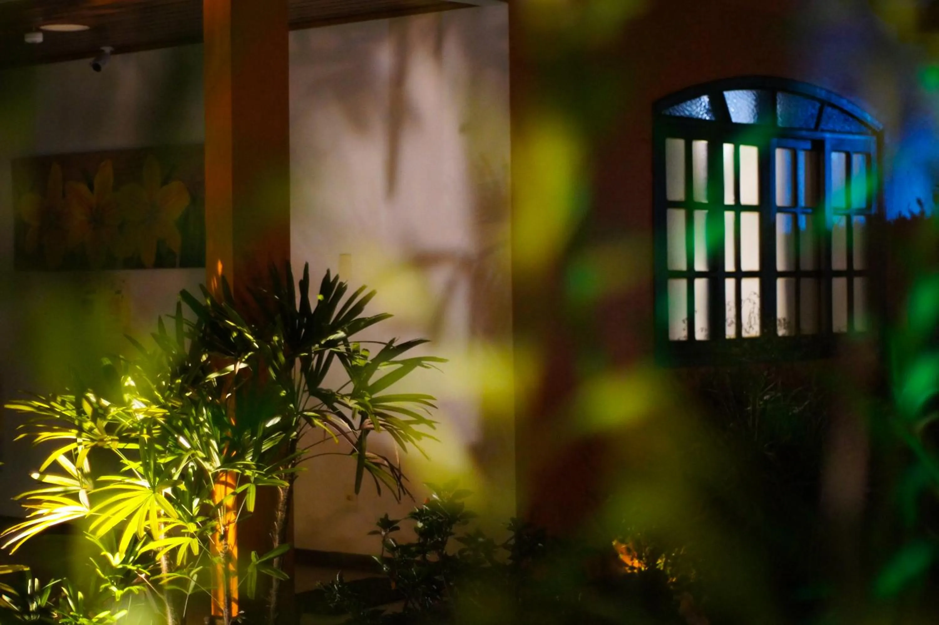 Garden in Pousada Recreio Da Praia