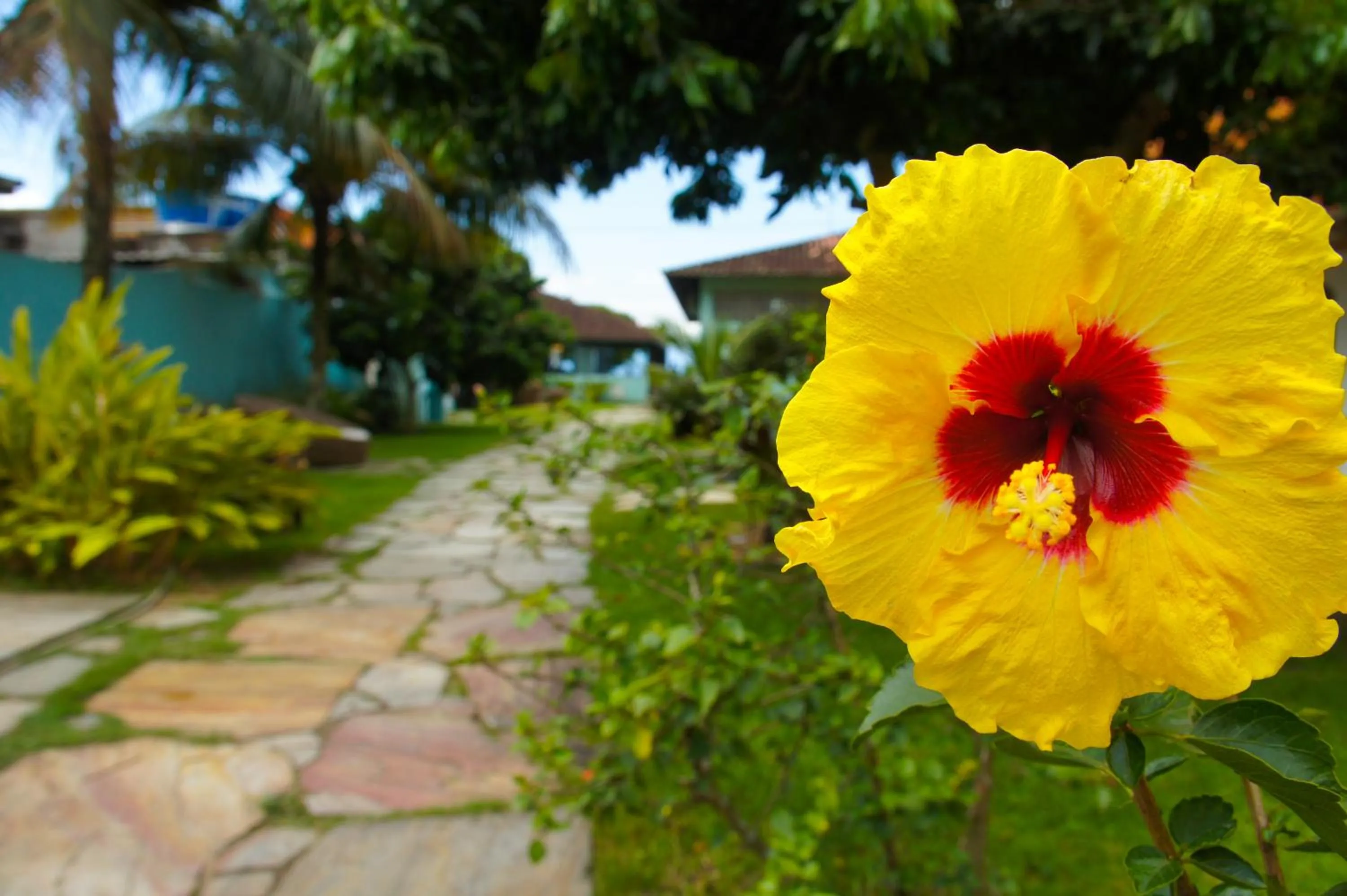 Spring in Pousada Recreio Da Praia