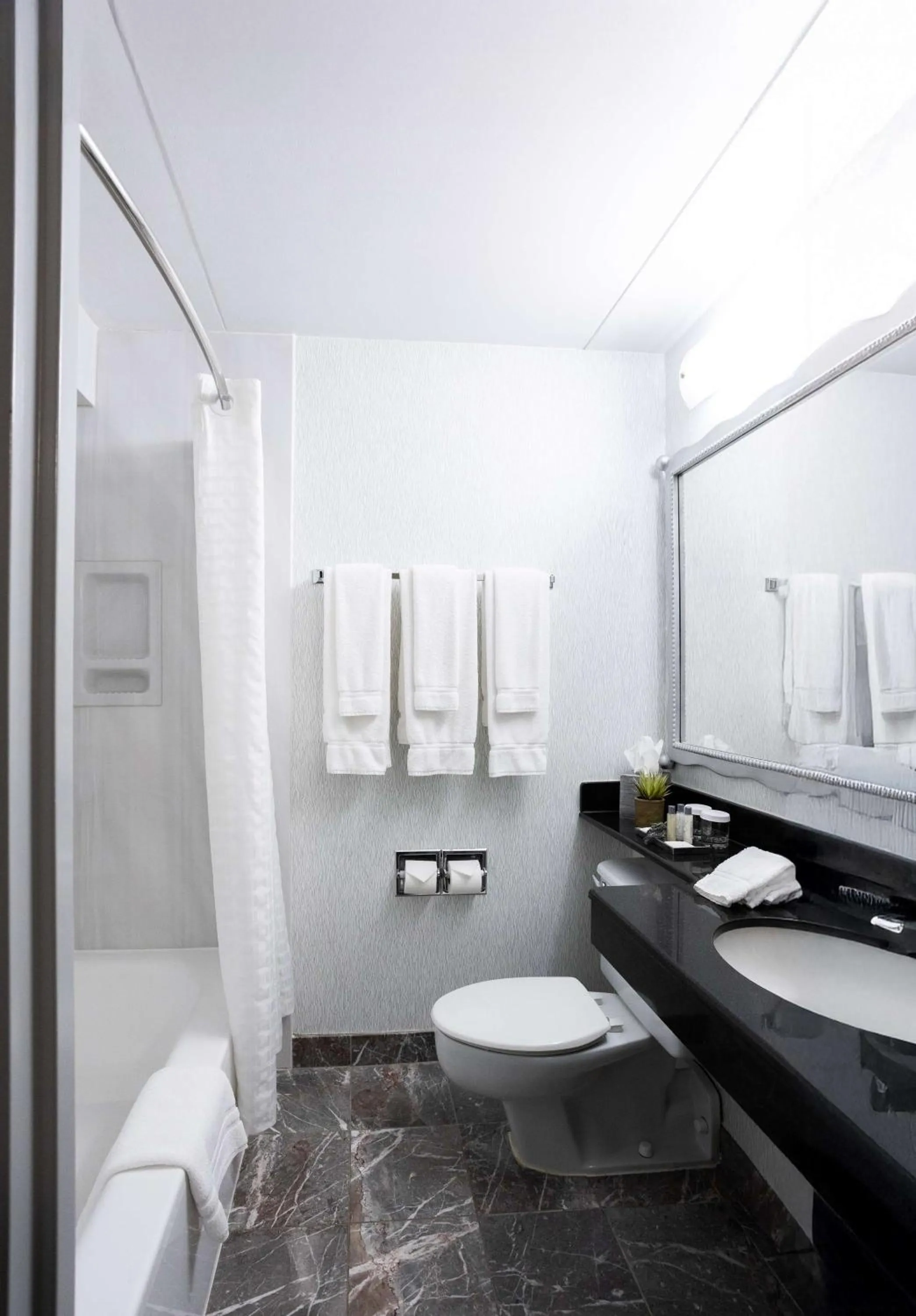 Bathroom in Somerset Inn Troy