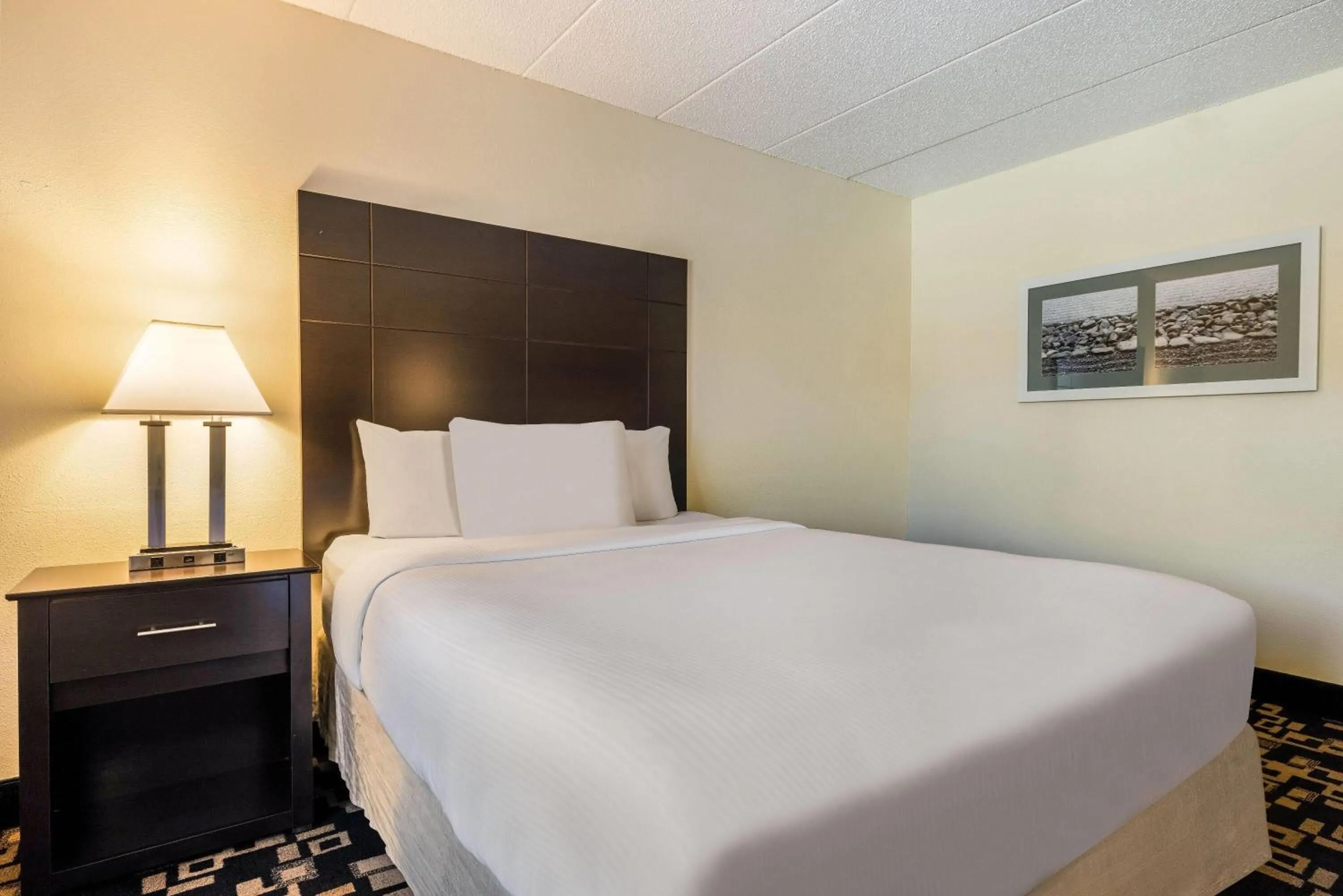 Bed in Baymont by Wyndham Bloomington MSP Airport