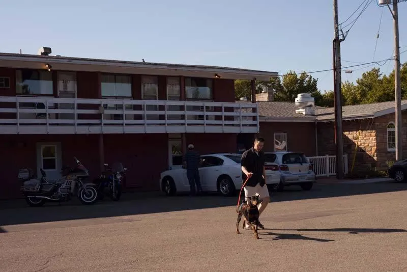 Pets in Clansman Motel