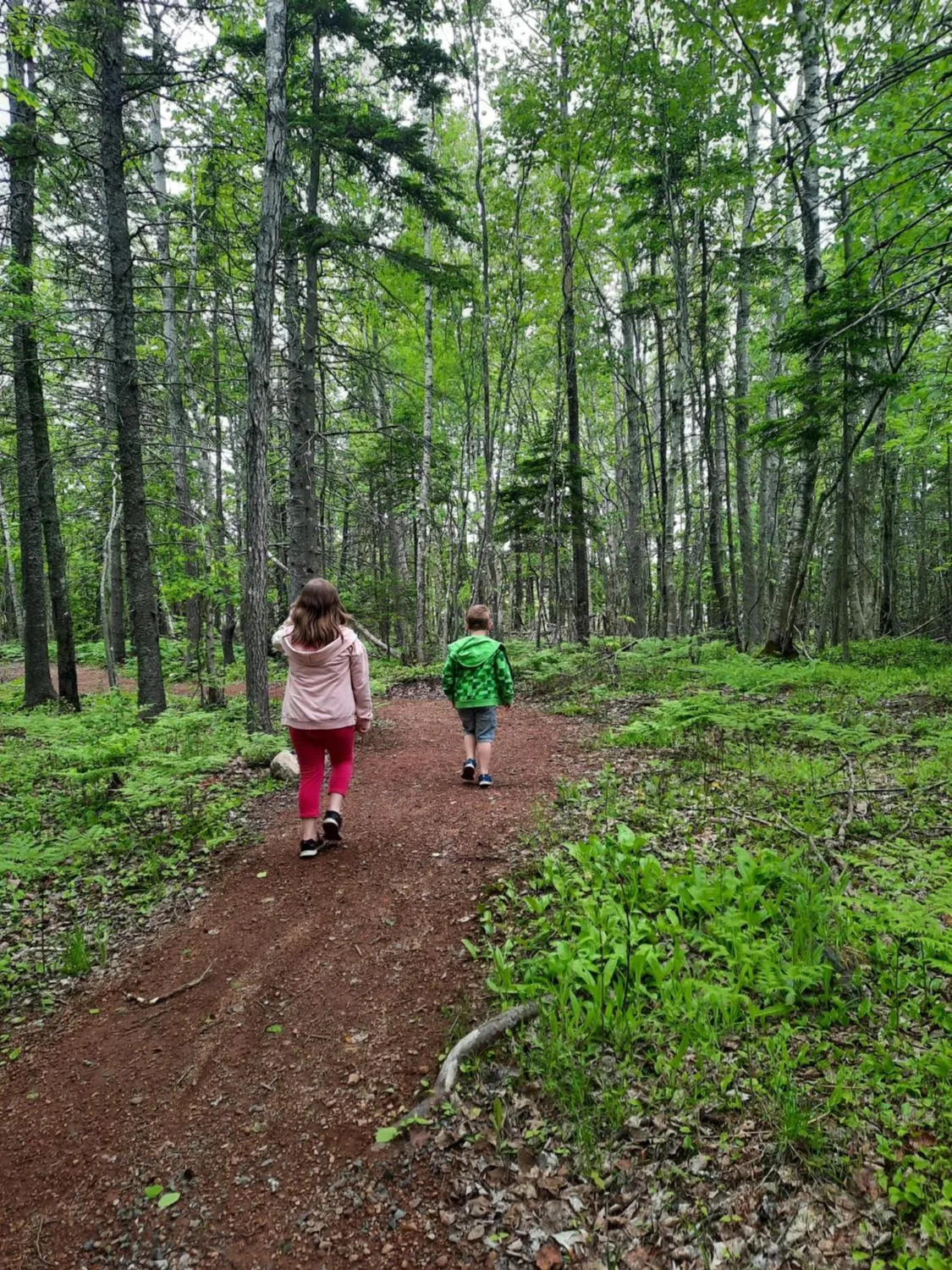 Natural landscape in Clansman Motel