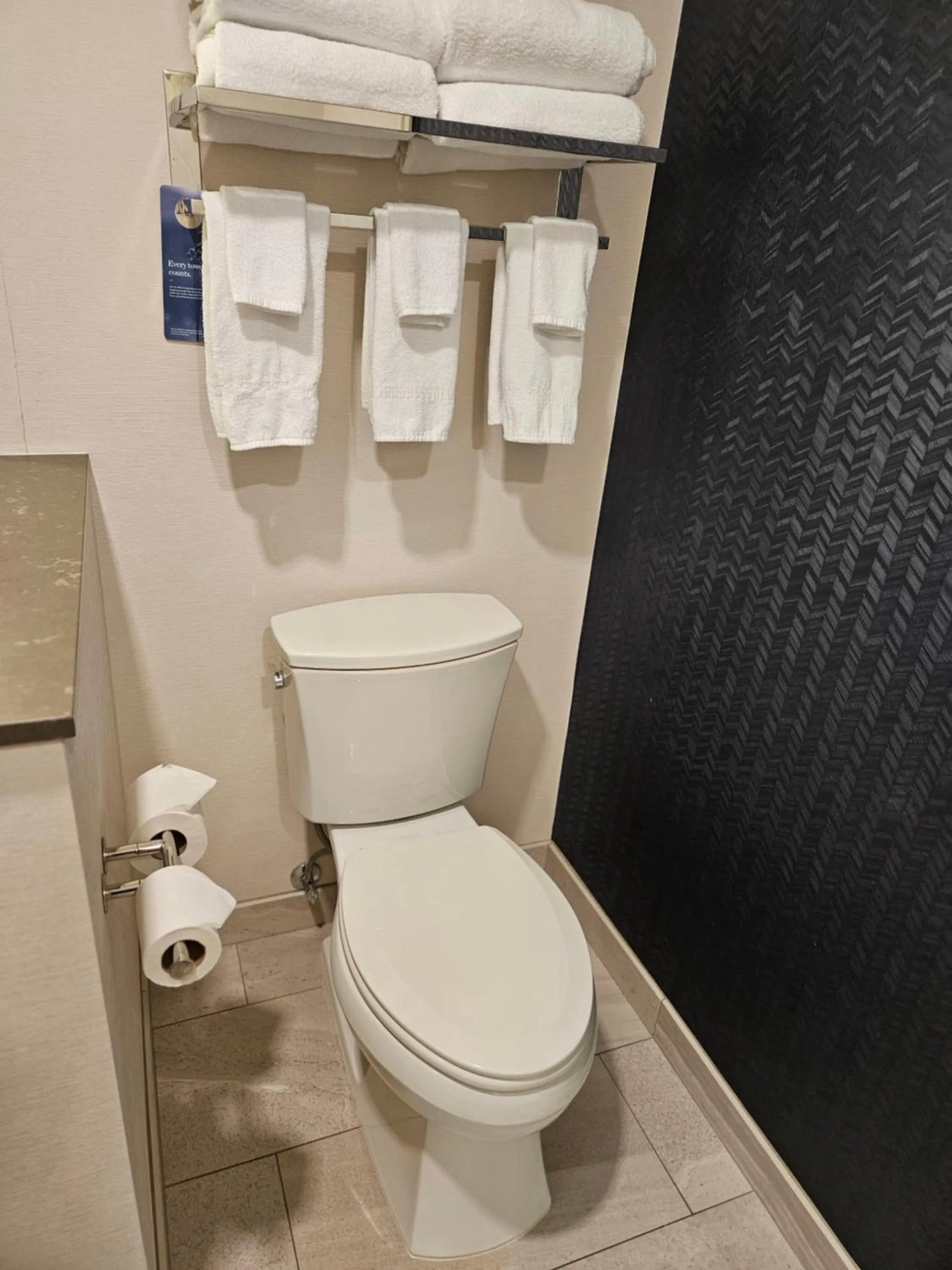 Toilet in Fairfield Inn & Suites By Marriott Duluth Waterfront