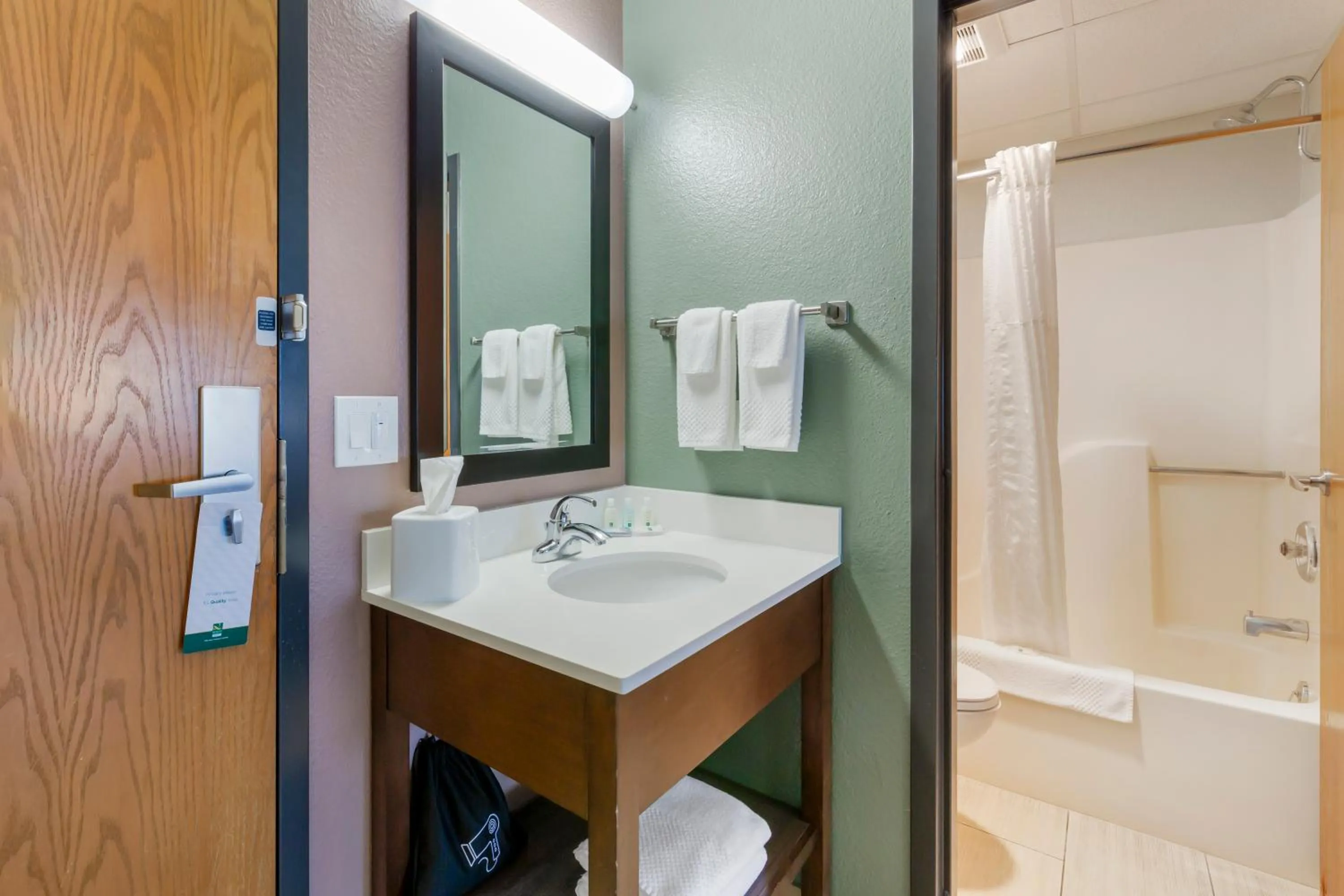 Bathroom in Quality Inn Hamilton Bitterroot Valley