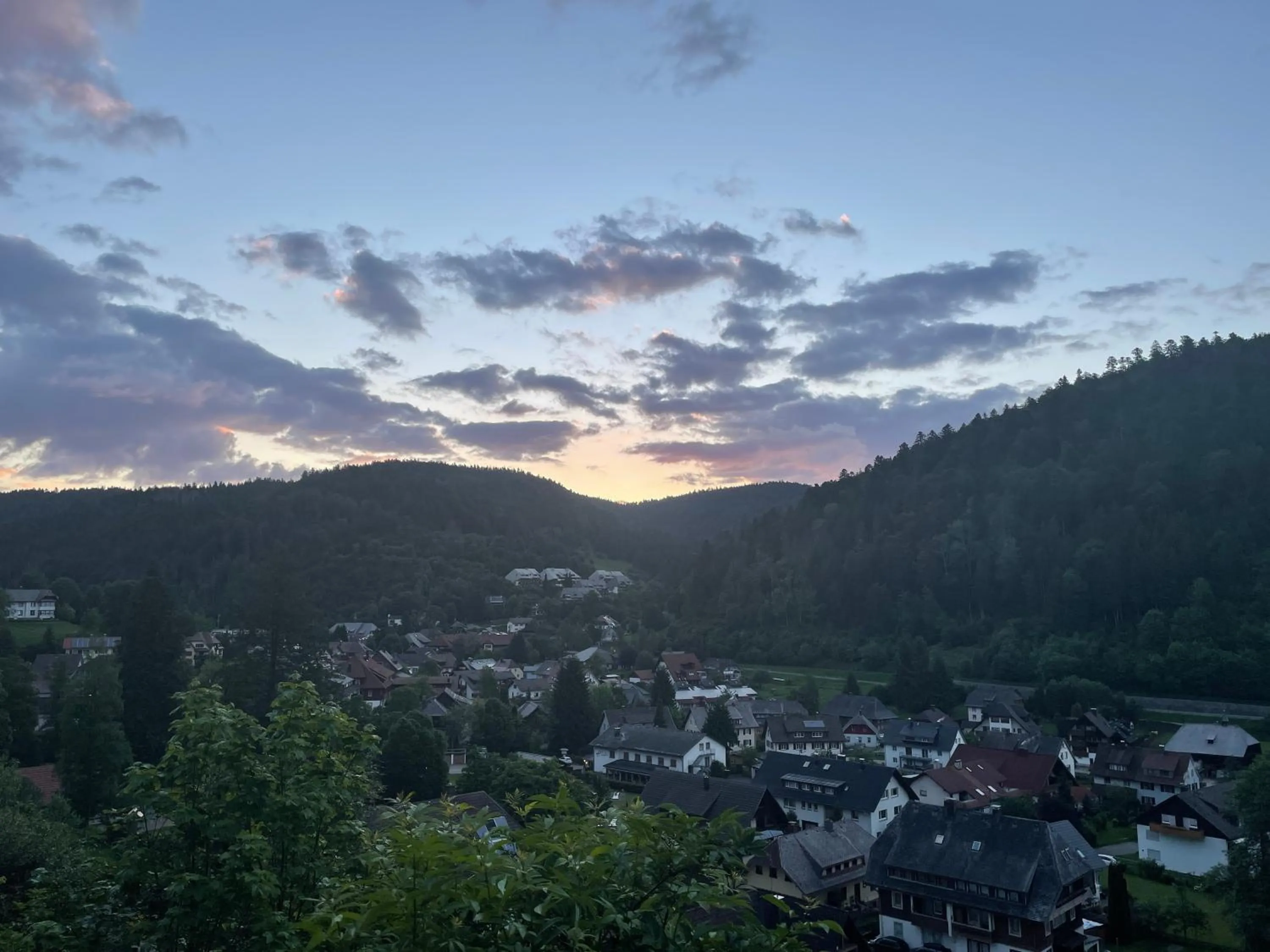 Natural landscape in Hotel dasZimmermann