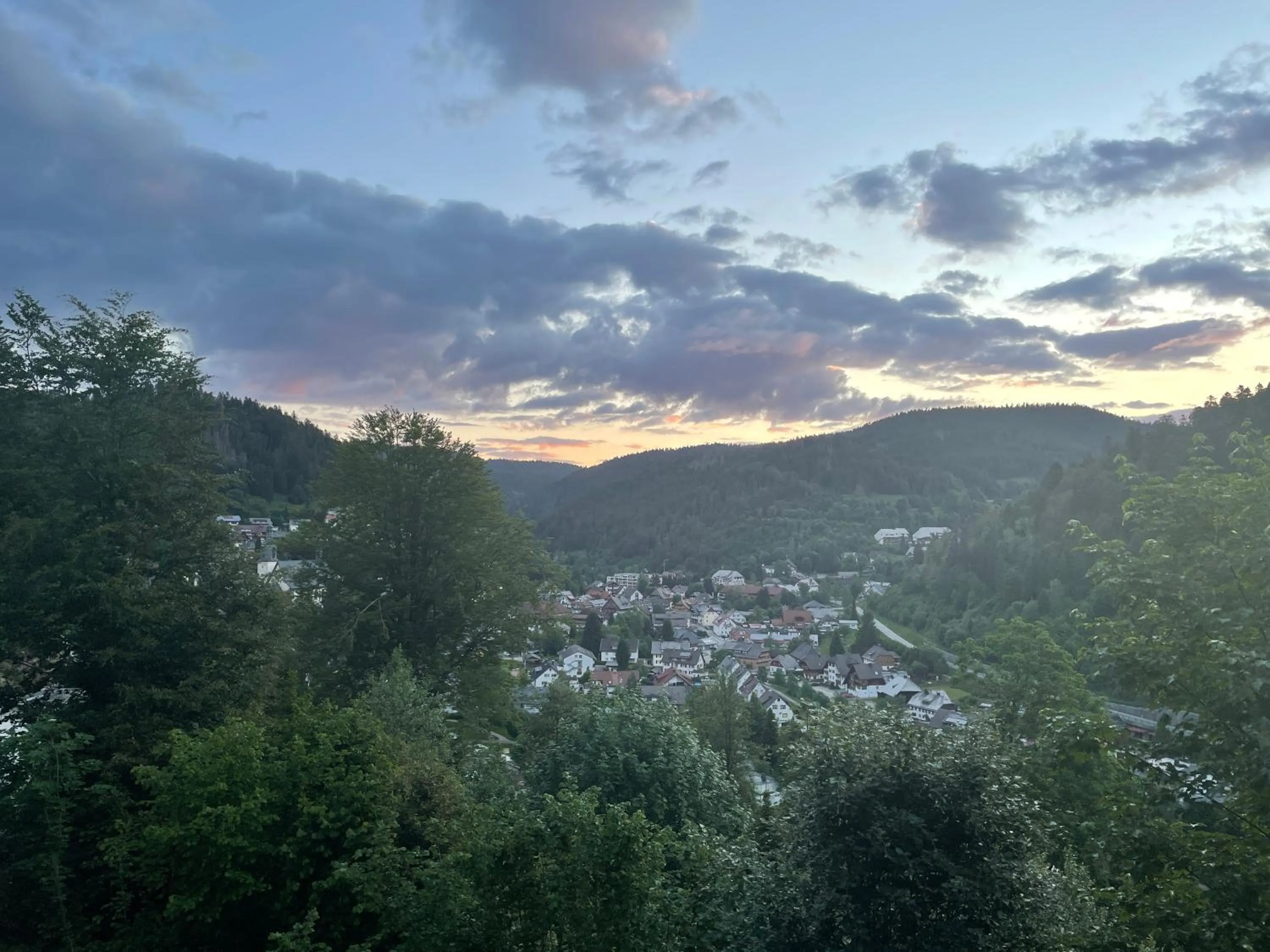 Natural landscape in Hotel dasZimmermann