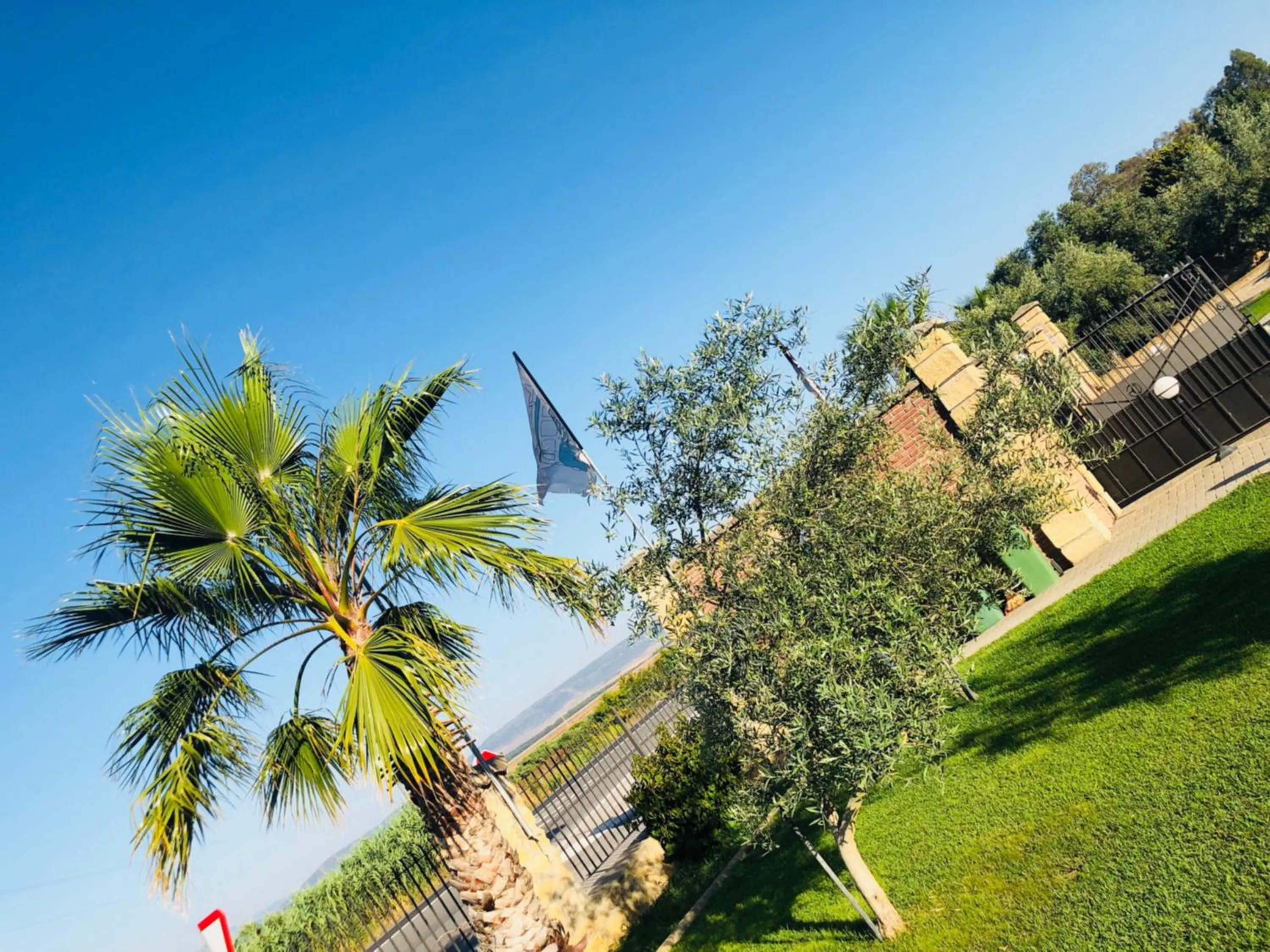 Garden in Hotel Nómadas
