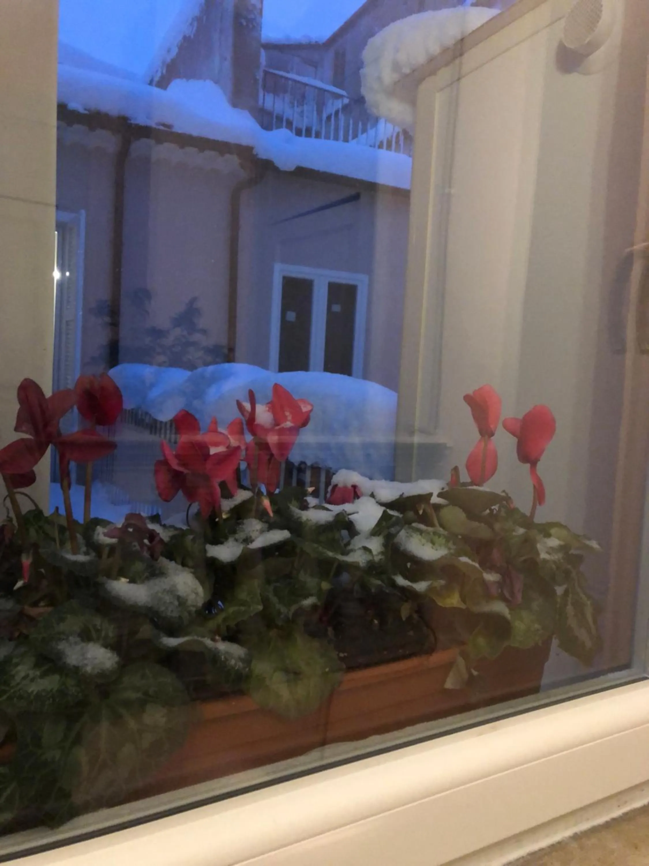 Boutique Hotel Palazzo Corso Umberto