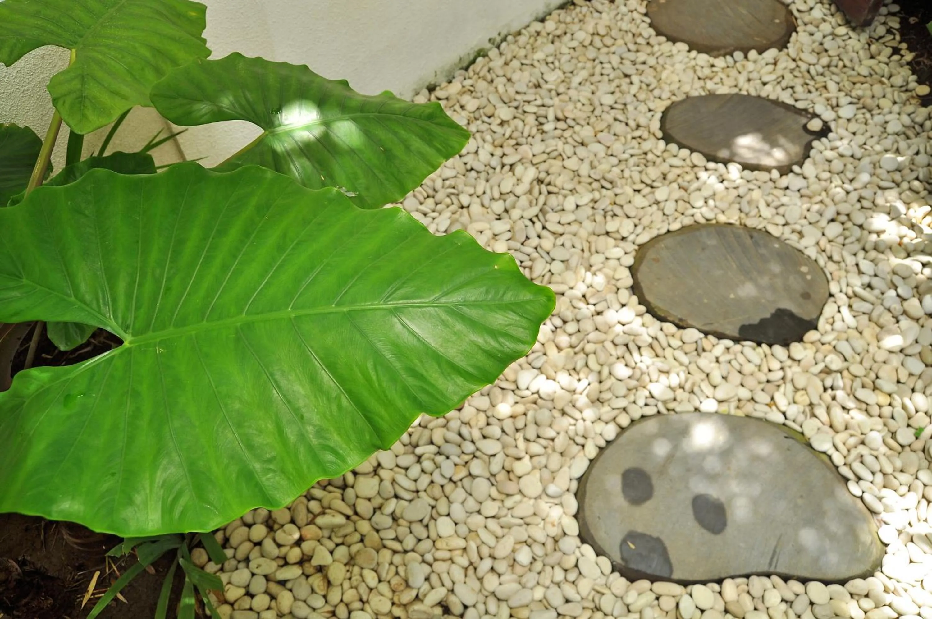 Property building in Villa La Sirena by Nagisa Bali