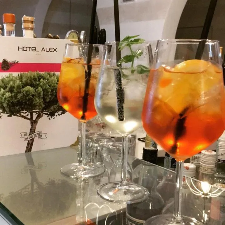 Evening entertainment in Hotel Alex