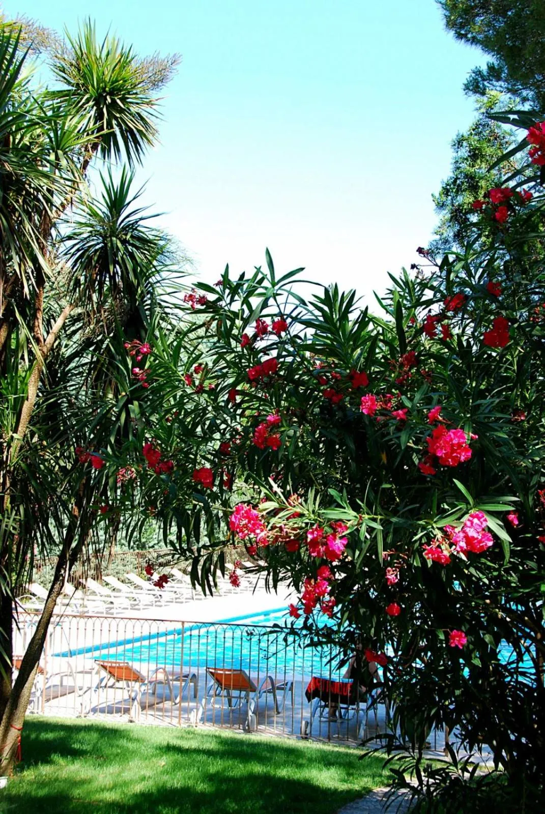 Garden in Hotel Les Mazets Des Roches