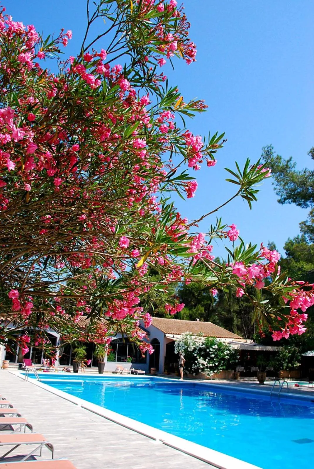 Patio in Hotel Les Mazets Des Roches