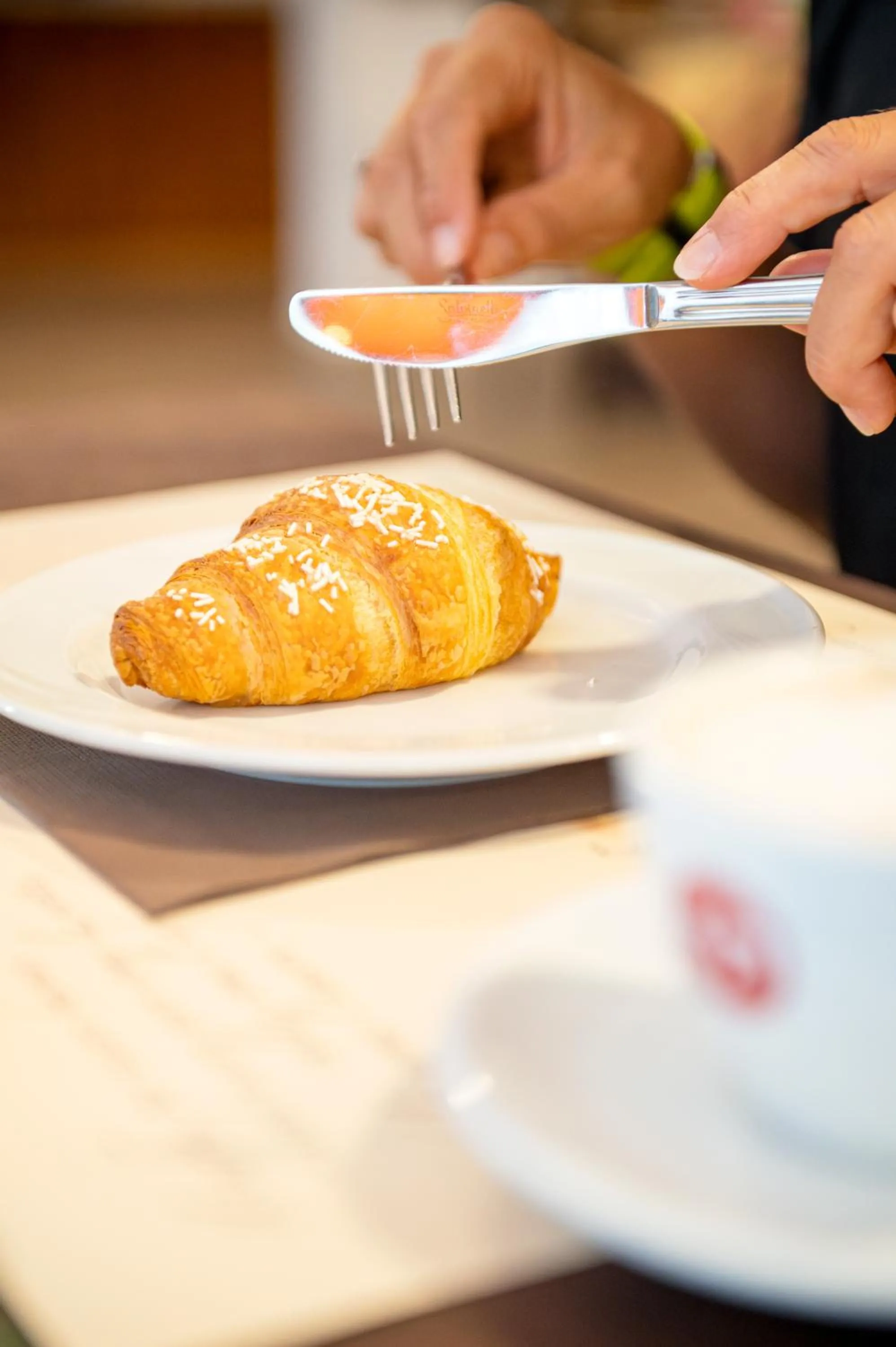 Hotel Nuovo Belvedere