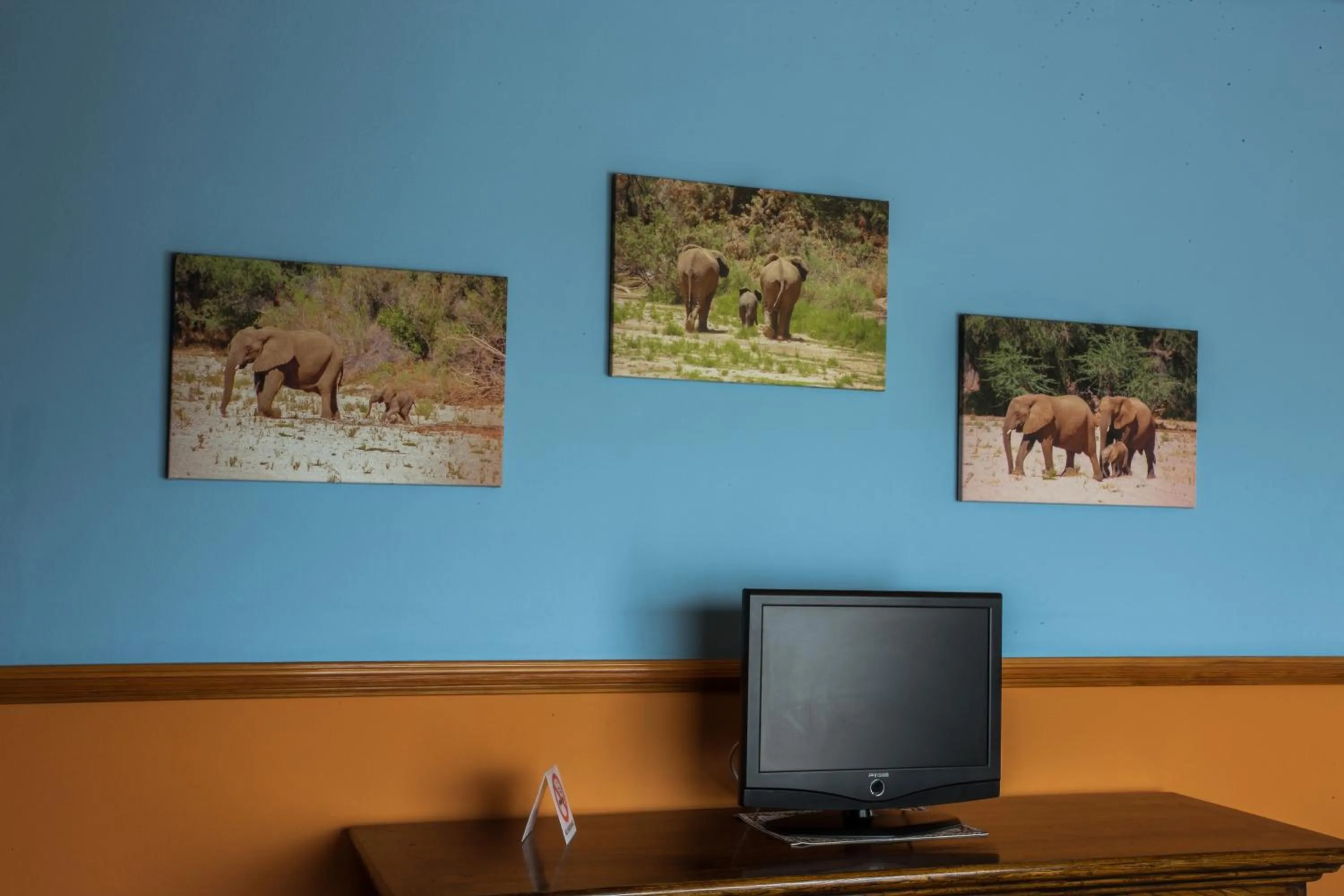 TV and multimedia in Sandcastle Apartments