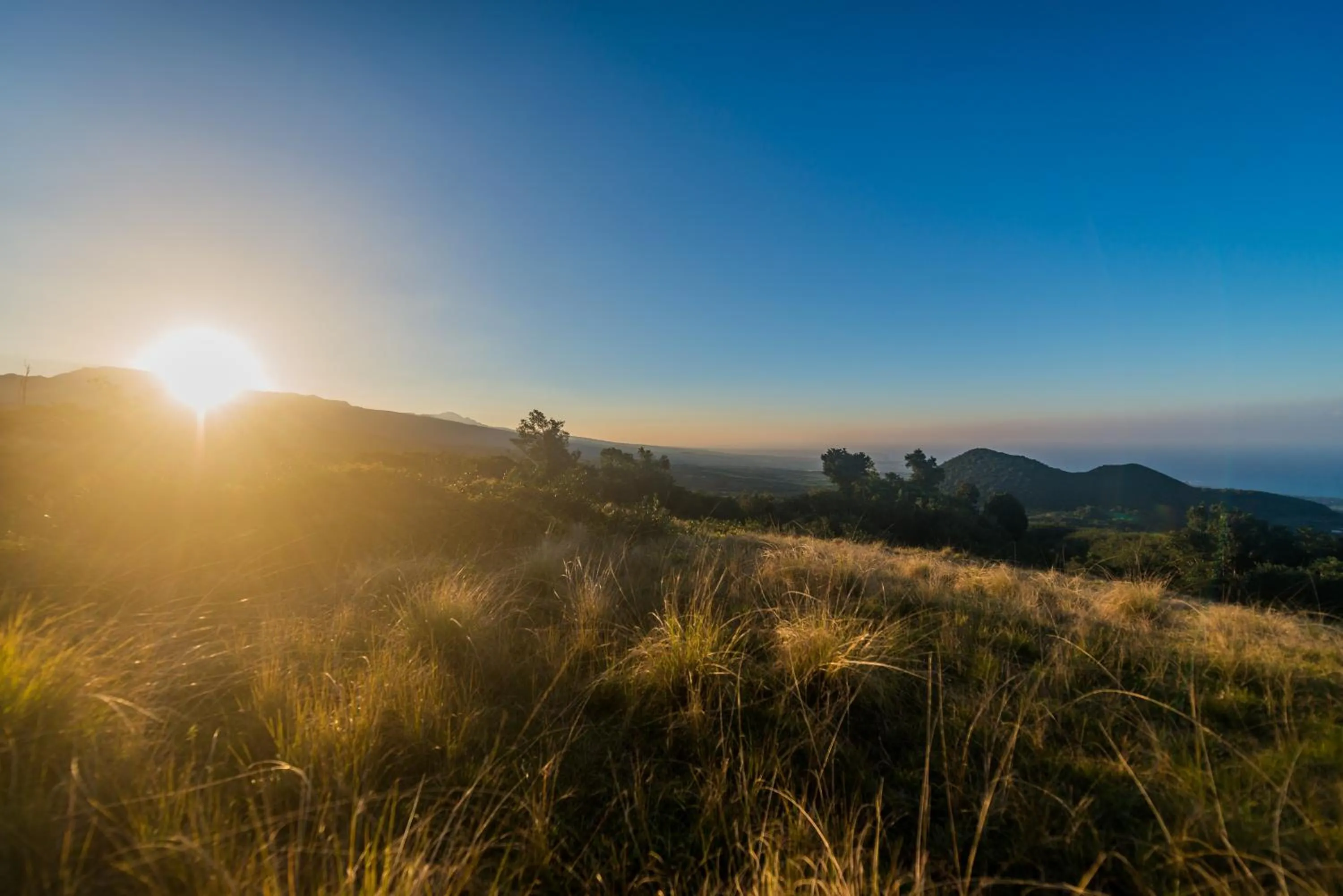 Day in Hôtel Diana Dea Lodge & SPA