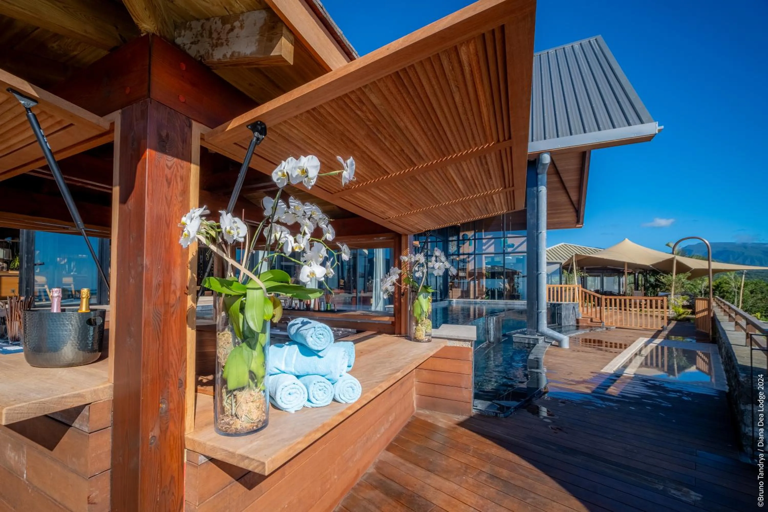 Lounge or bar in Hôtel Diana Dea Lodge & SPA