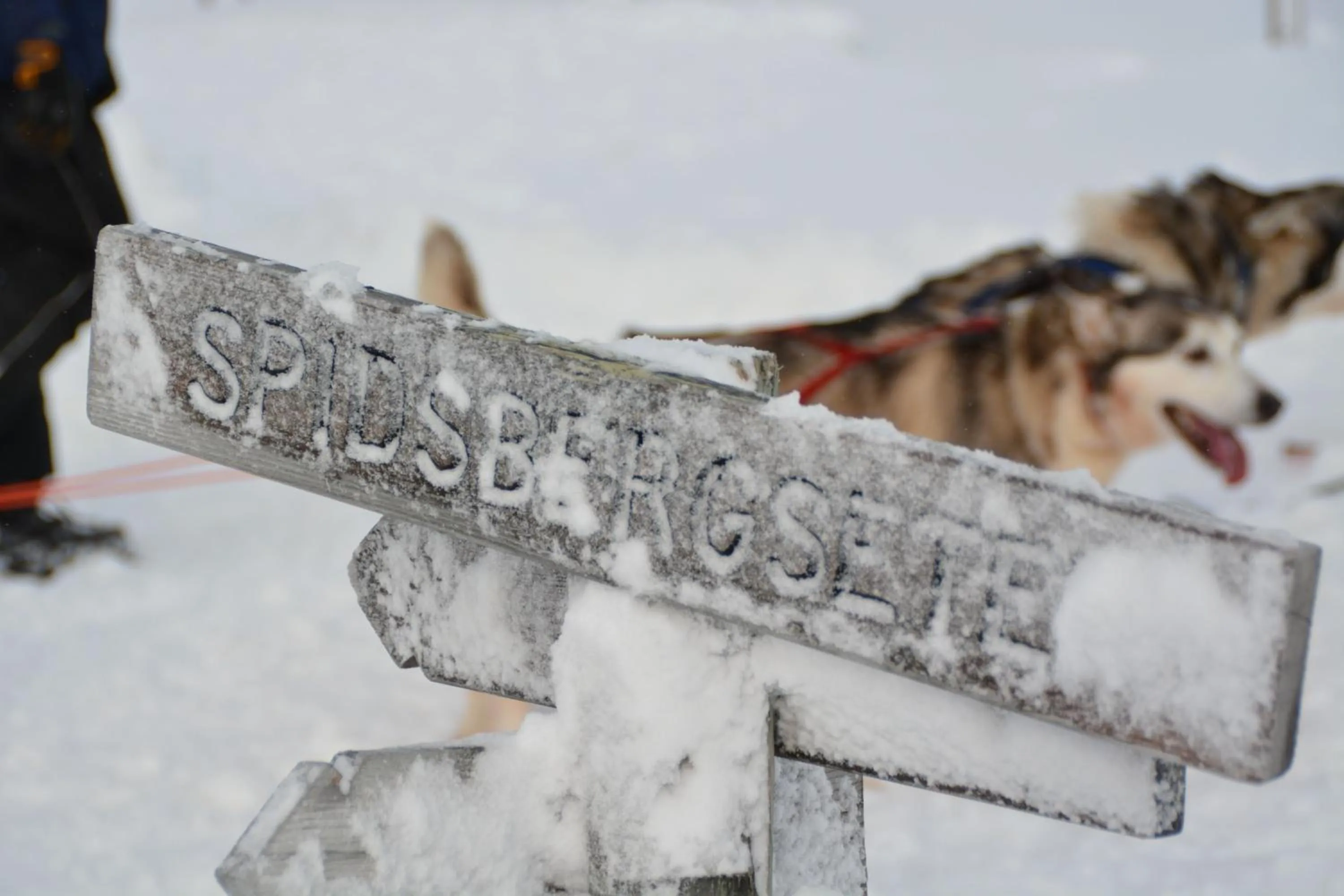 Activities in Spidsbergseter Resort Rondane