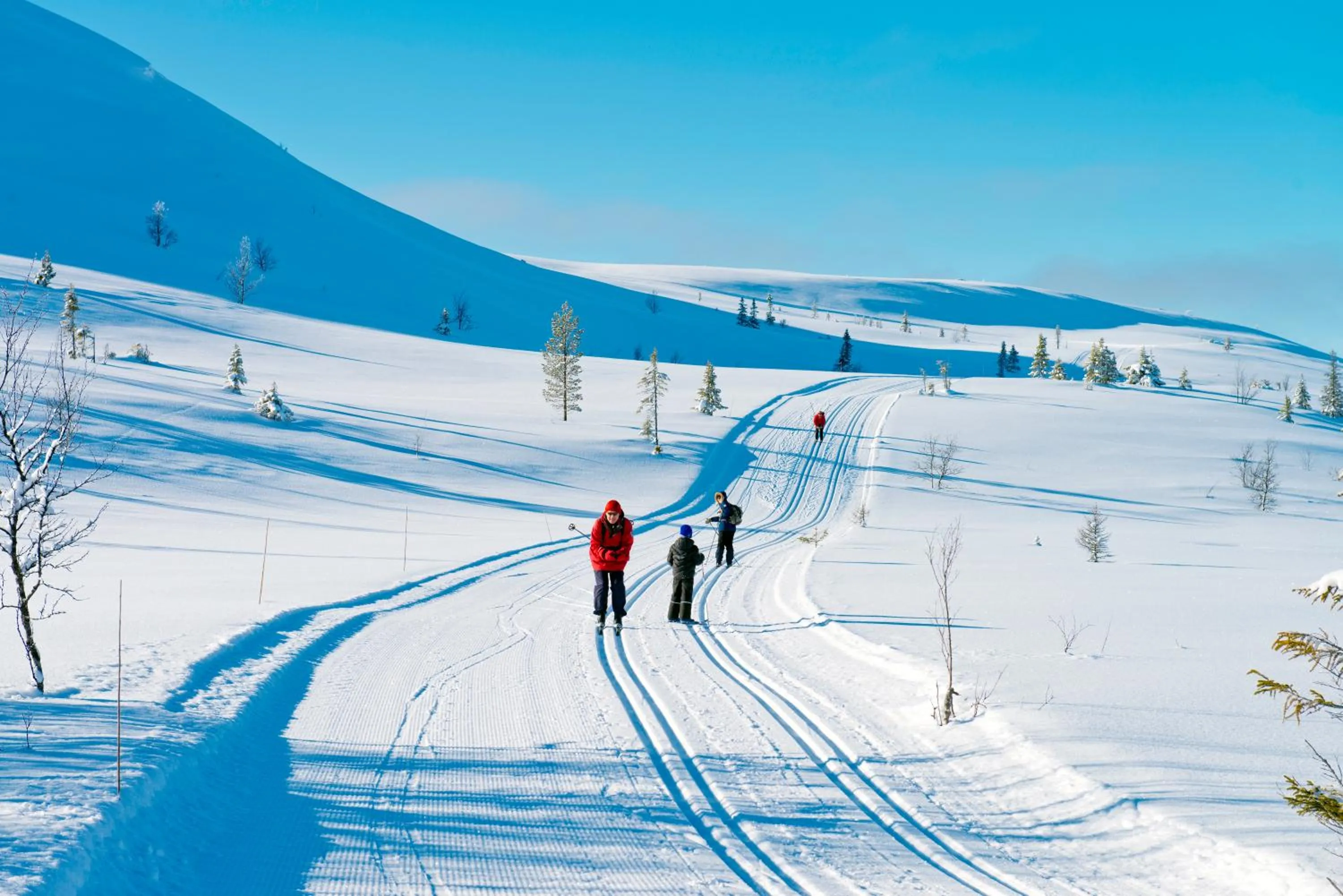 Natural landscape in Spidsbergseter Resort Rondane