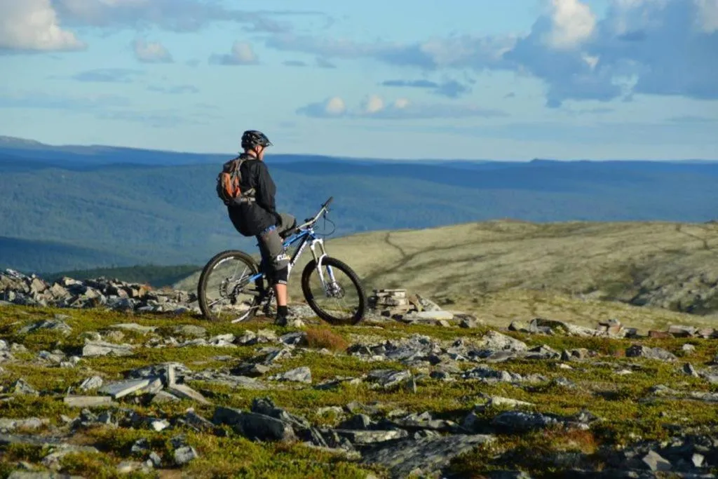 Activities in Spidsbergseter Resort Rondane