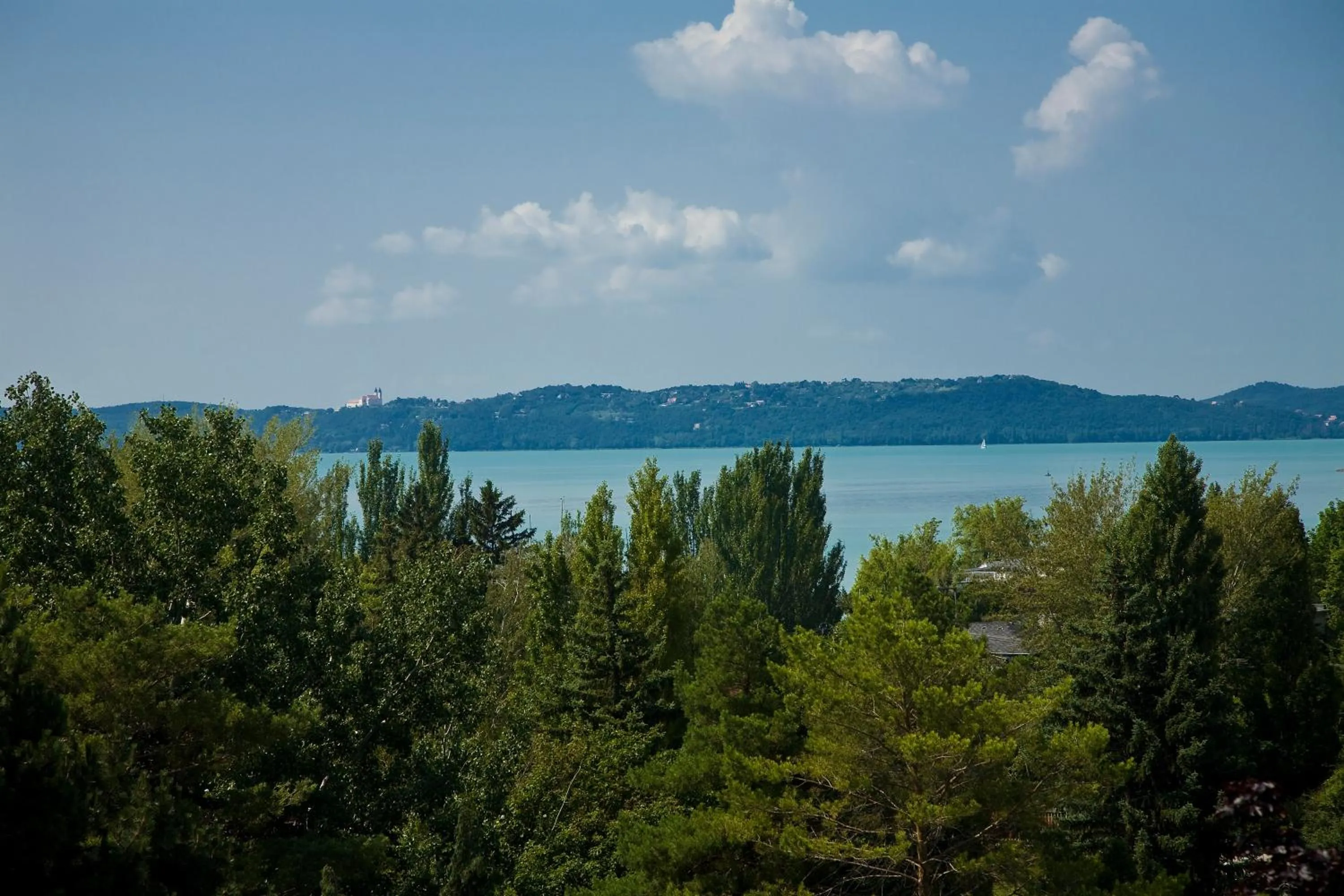Natural landscape in Hotel Holiday Csopak