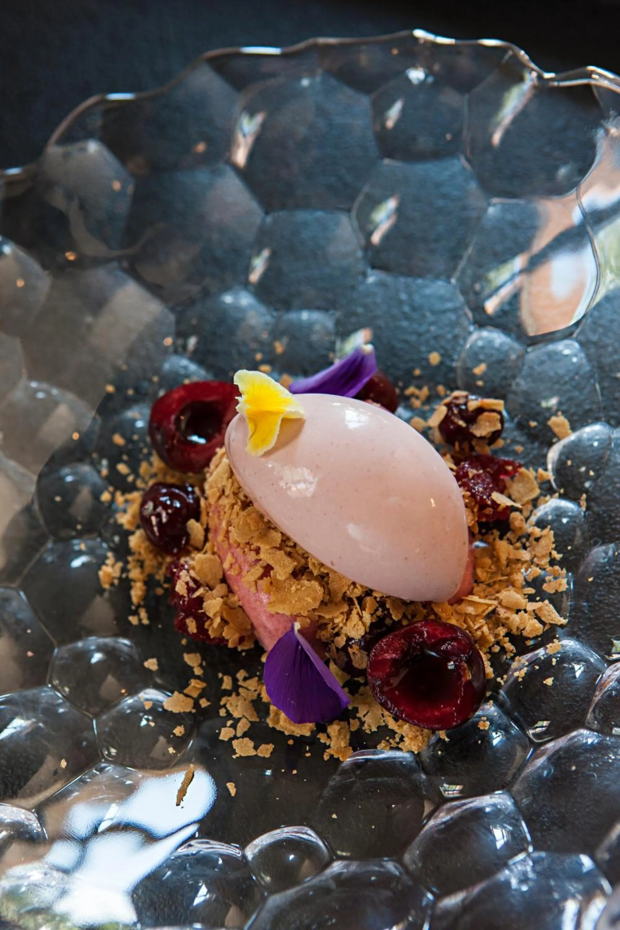 Terra Dominicata - Hotel & Winery - Adults Only