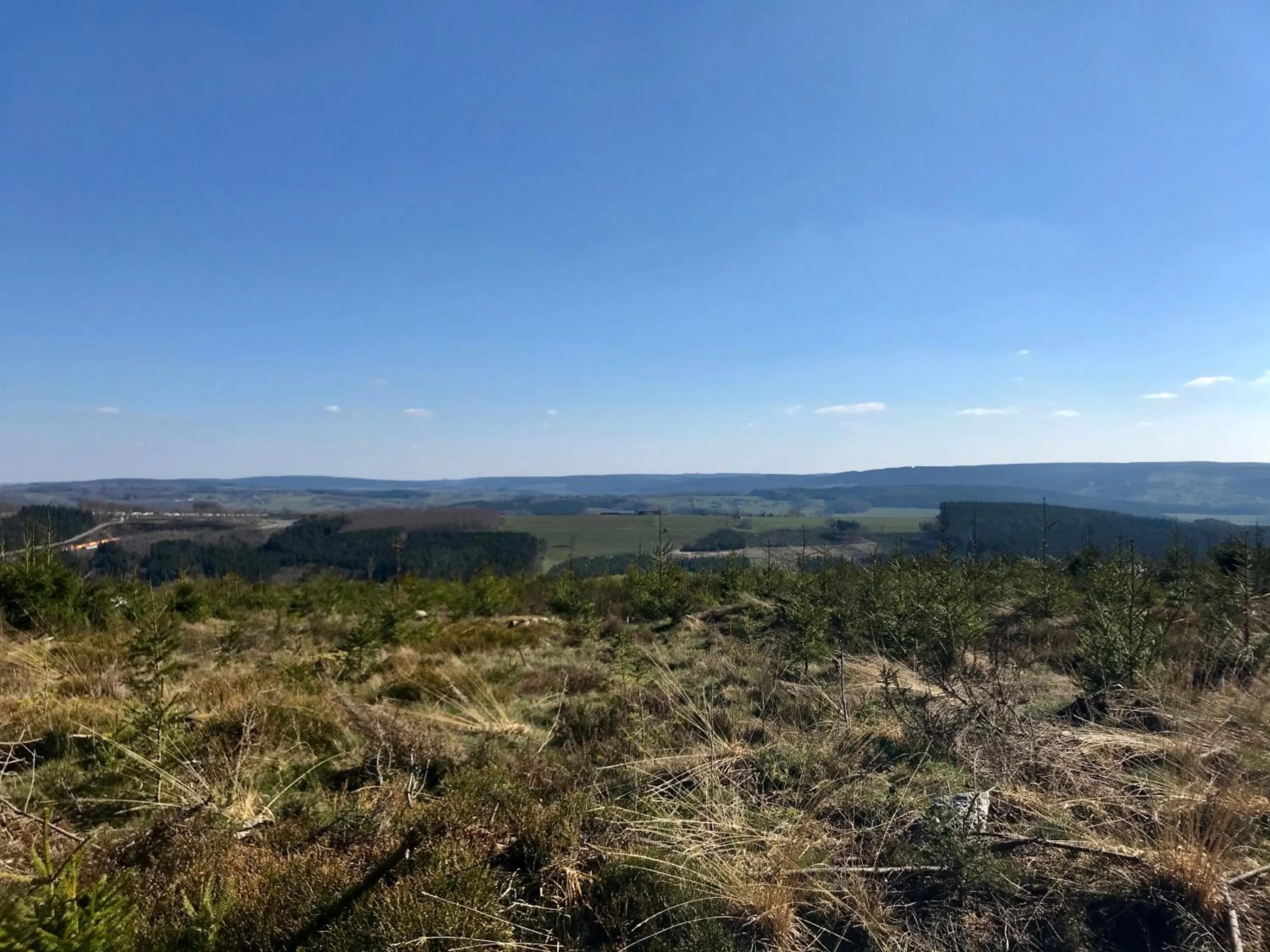 Natural landscape in "Un matin au jardin"
