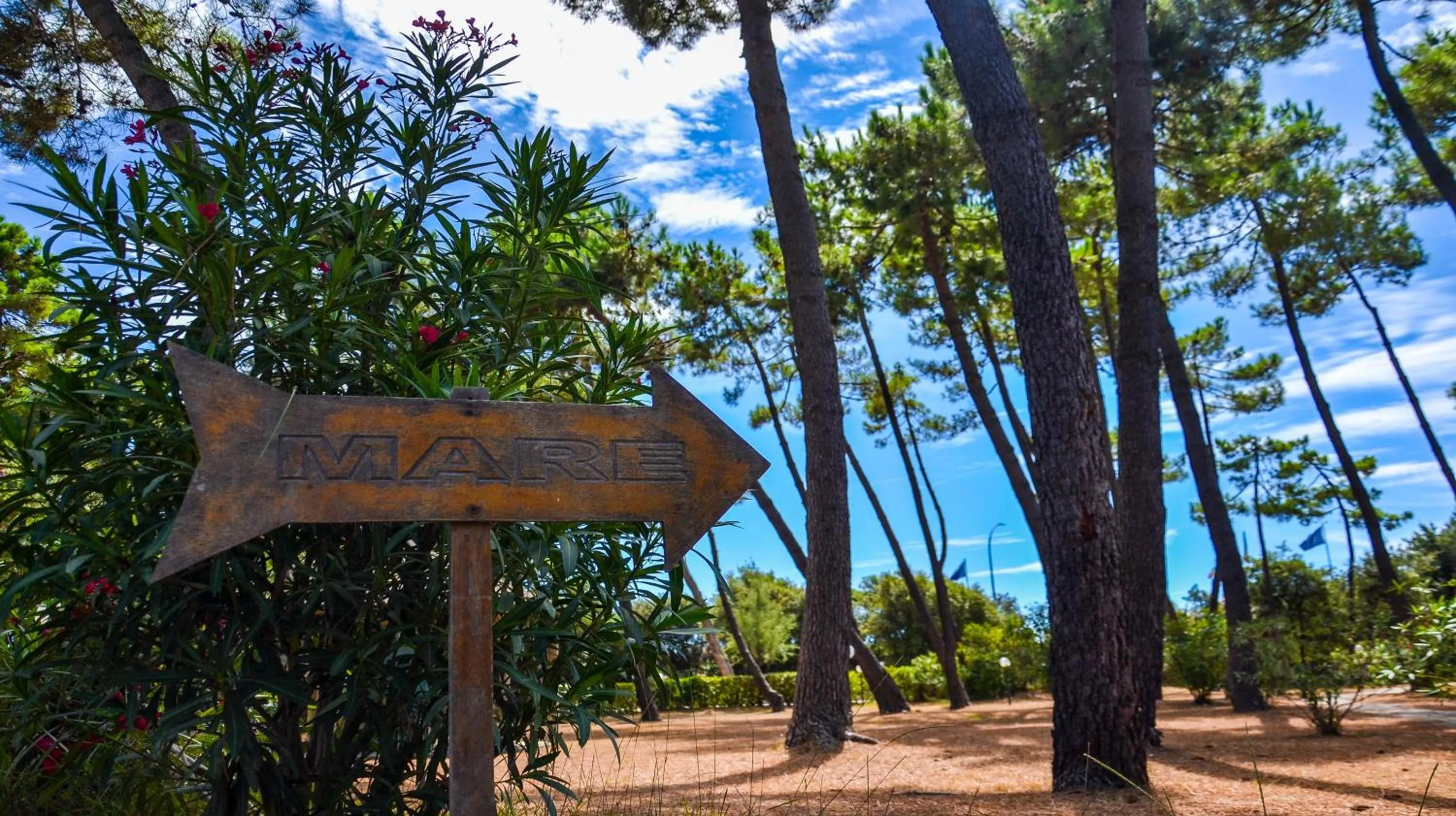 Garden in Hotel Villa Elsa