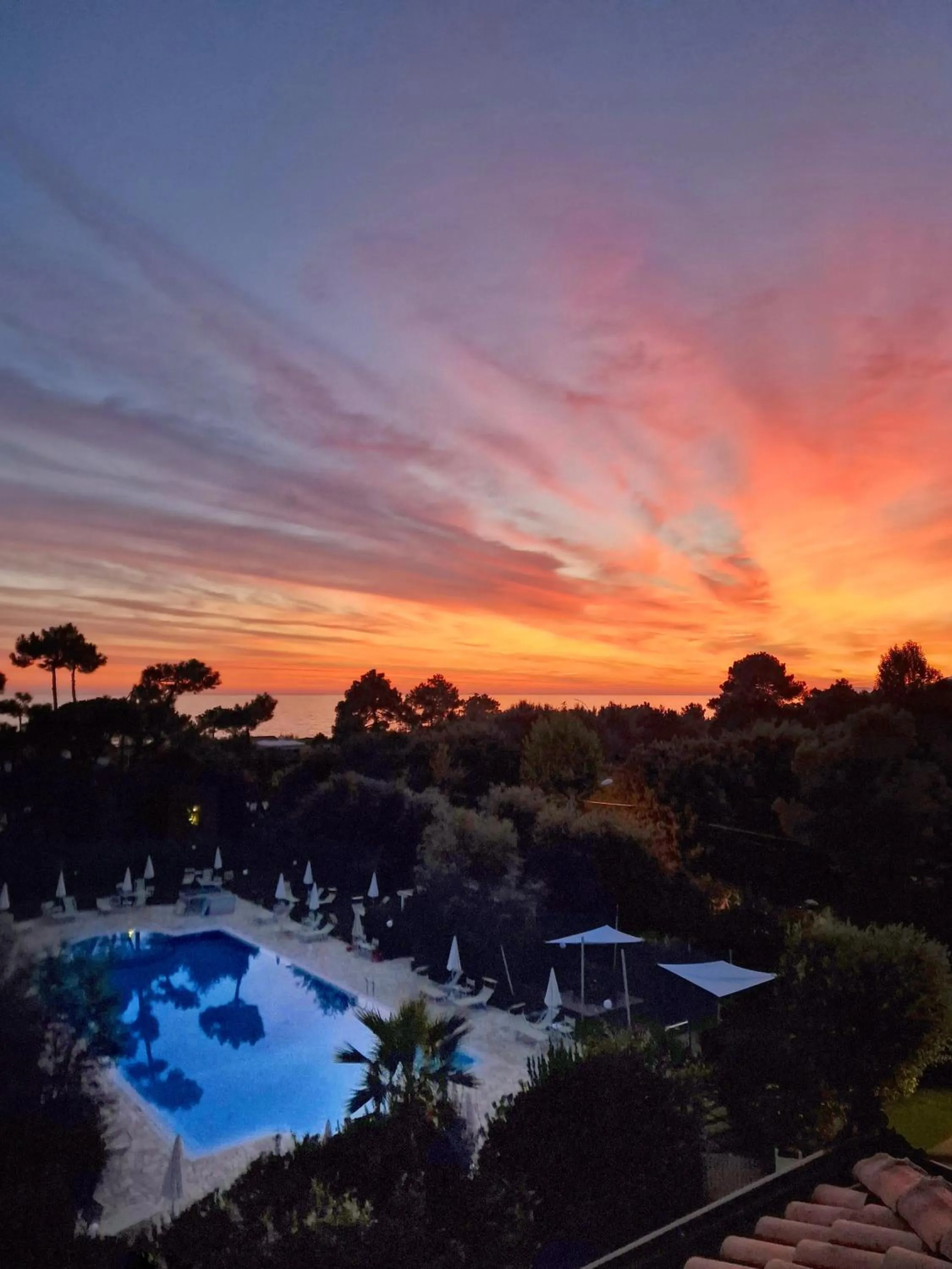 View (from property/room) in Hotel Villa Elsa