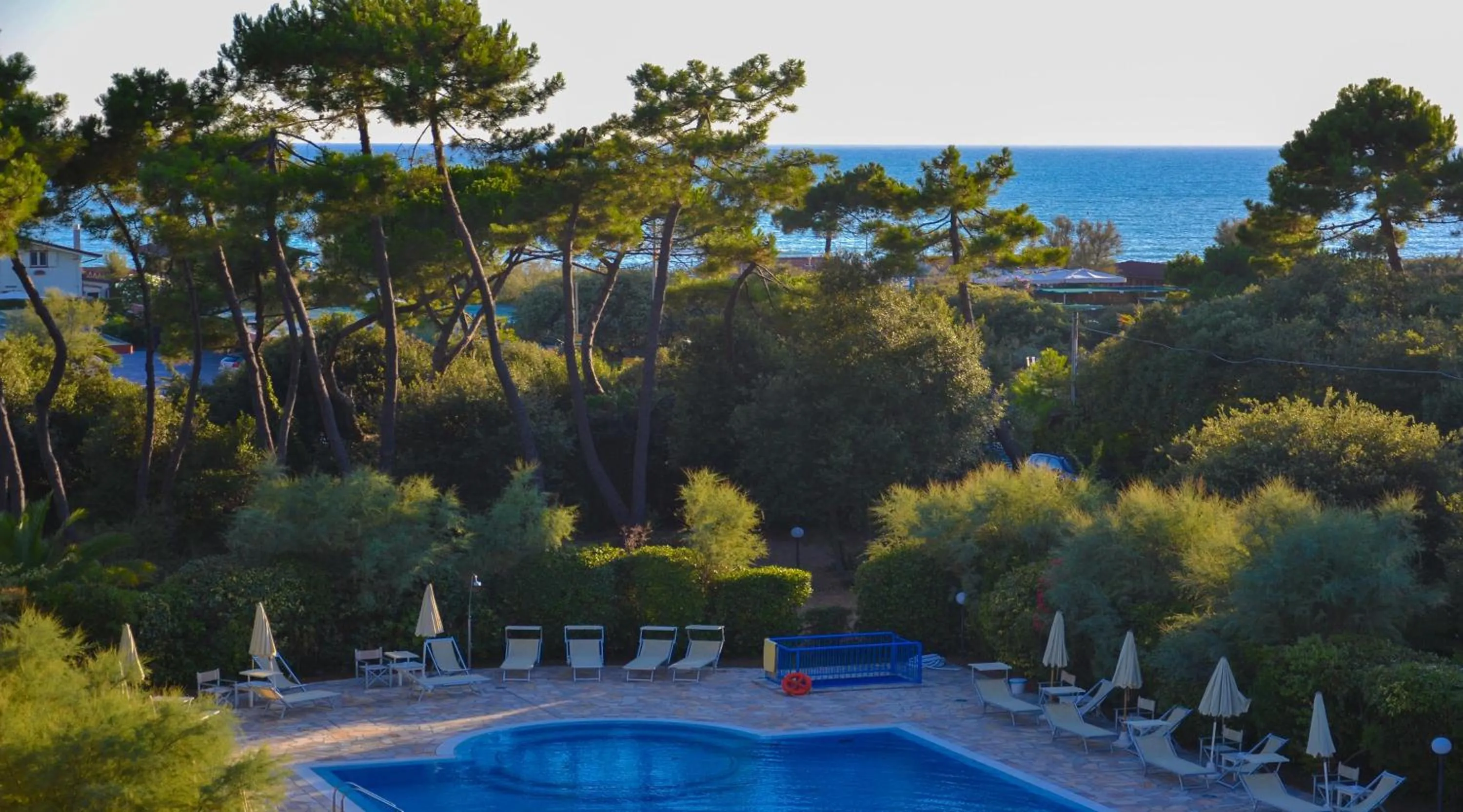 Garden in Hotel Villa Elsa