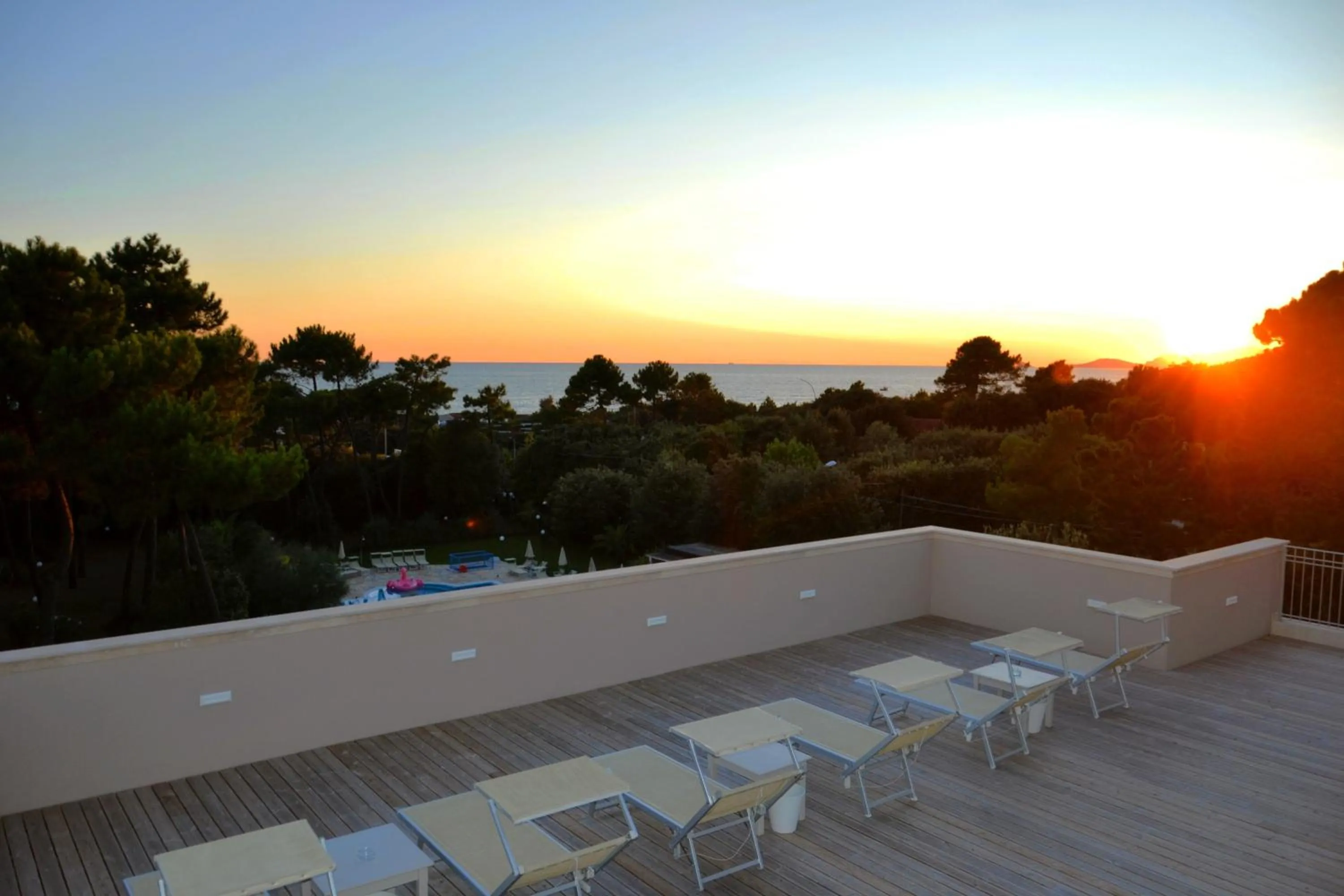 Balcony/Terrace in Hotel Villa Elsa