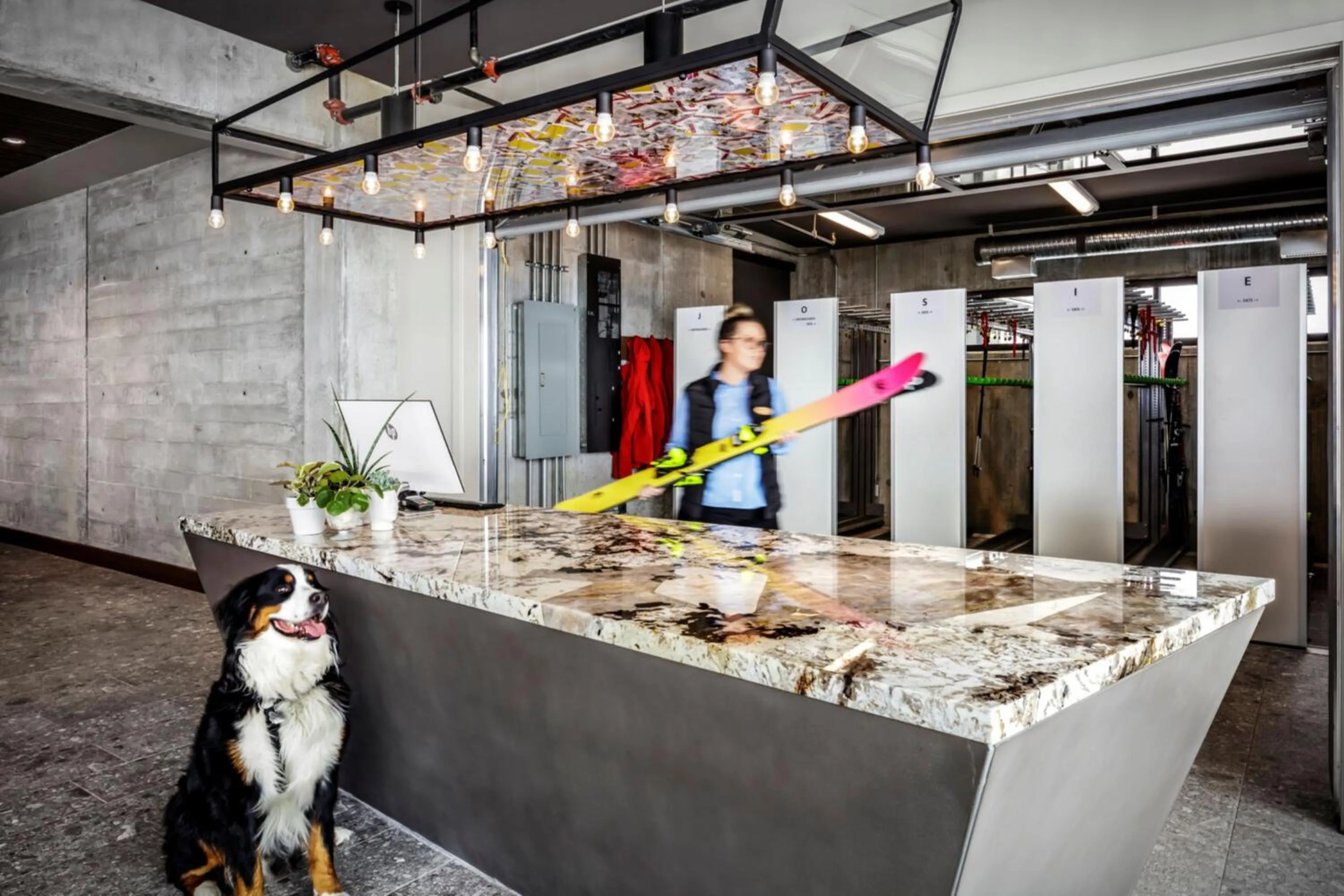 Other in The Josie Hotel, Autograph Collection